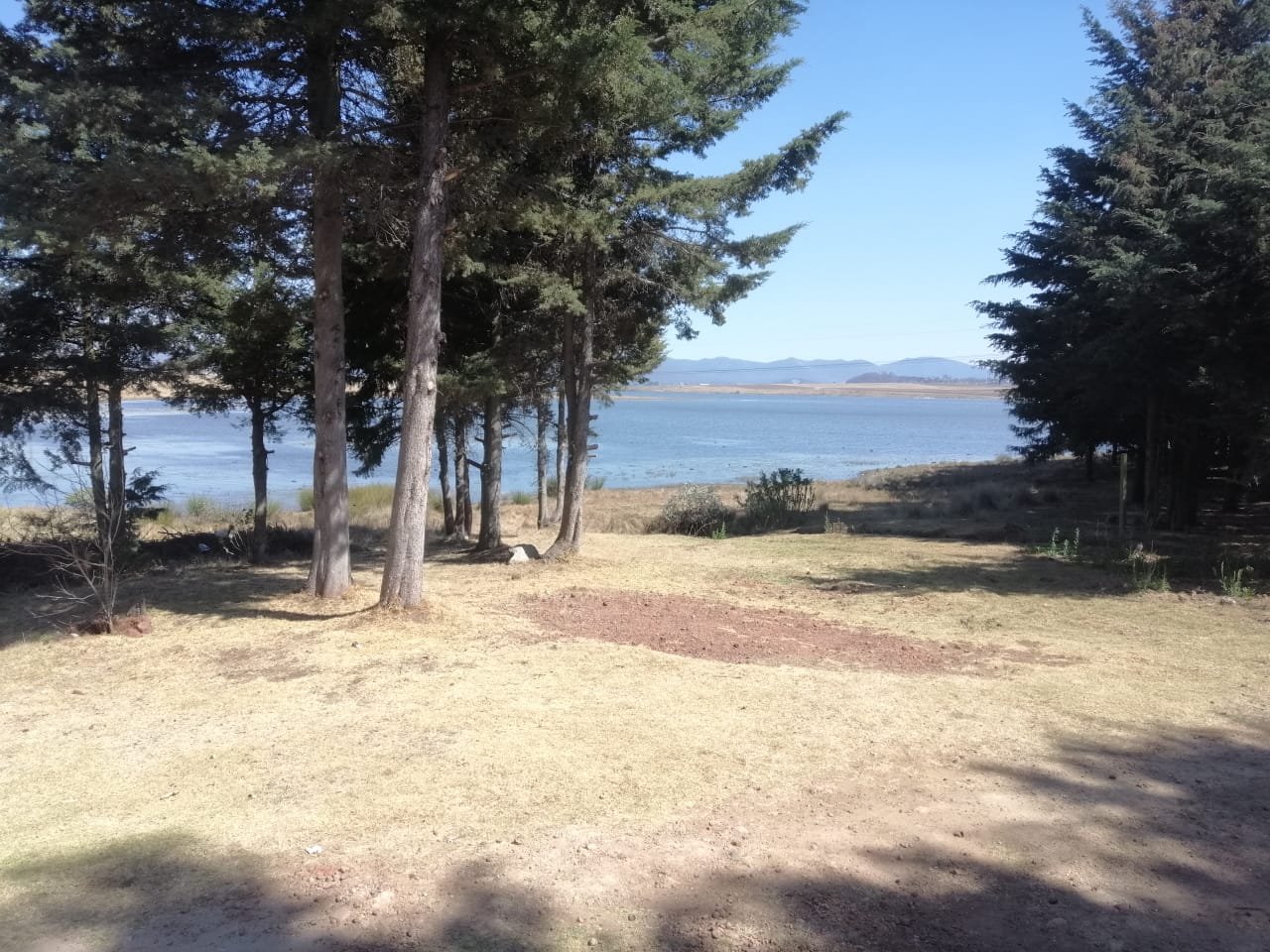 Los Pinos-Restaurante familiar image 4