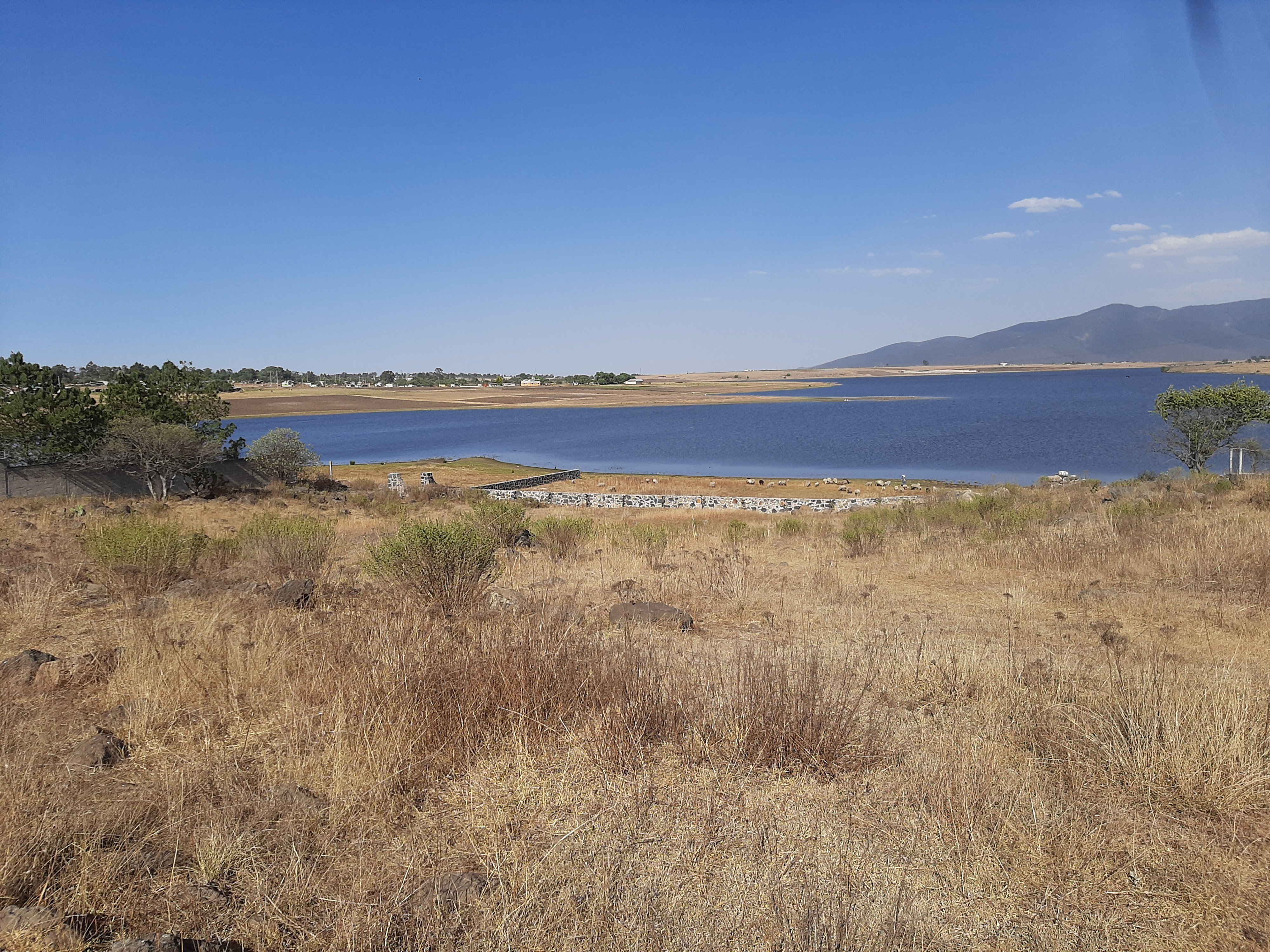 Los Pinos-Restaurante familiar image 8