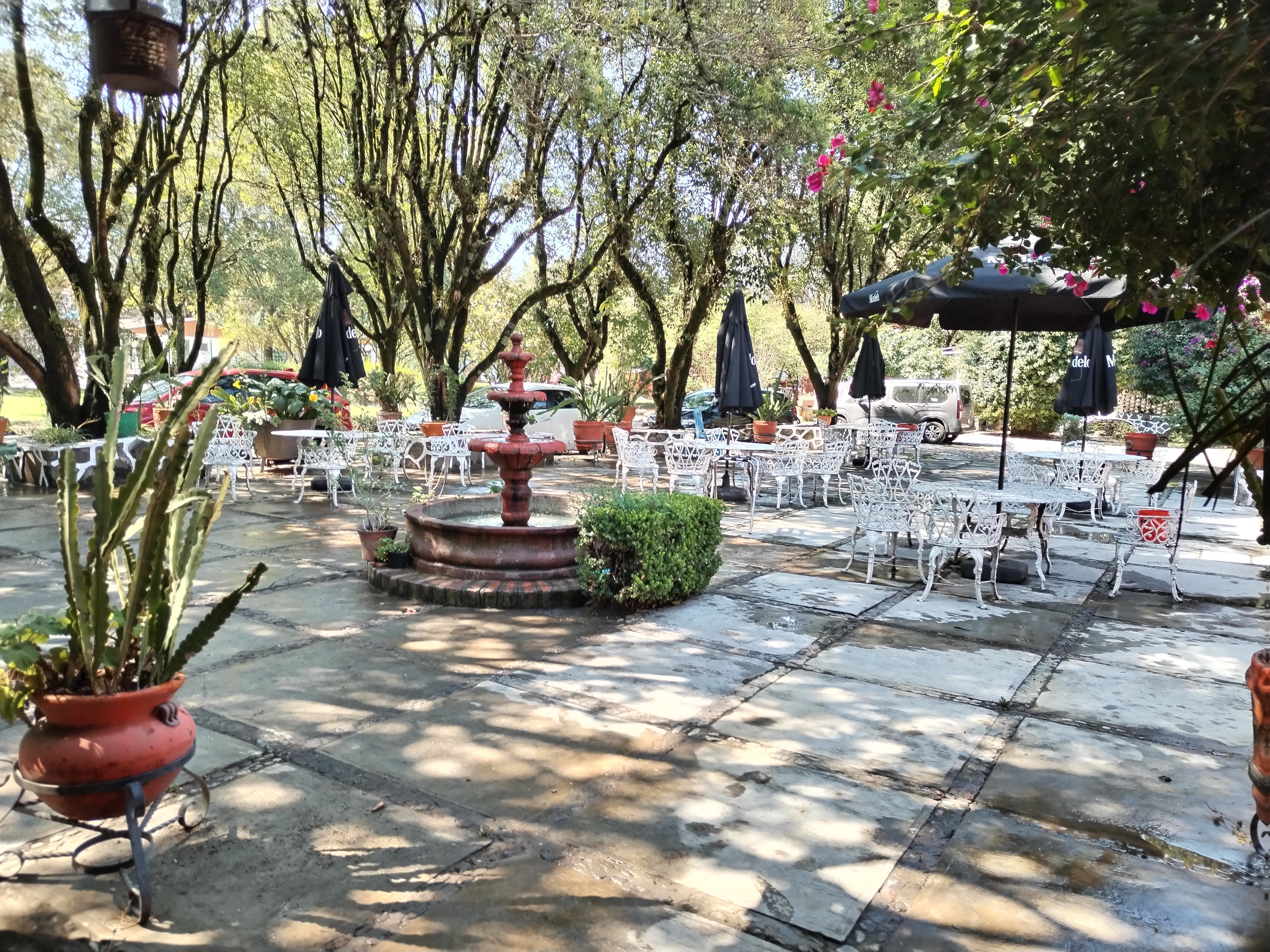 Restaurant Español Popocatepetl image 1