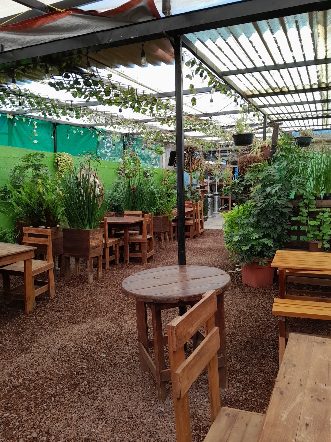 El Mirador 127 image 2