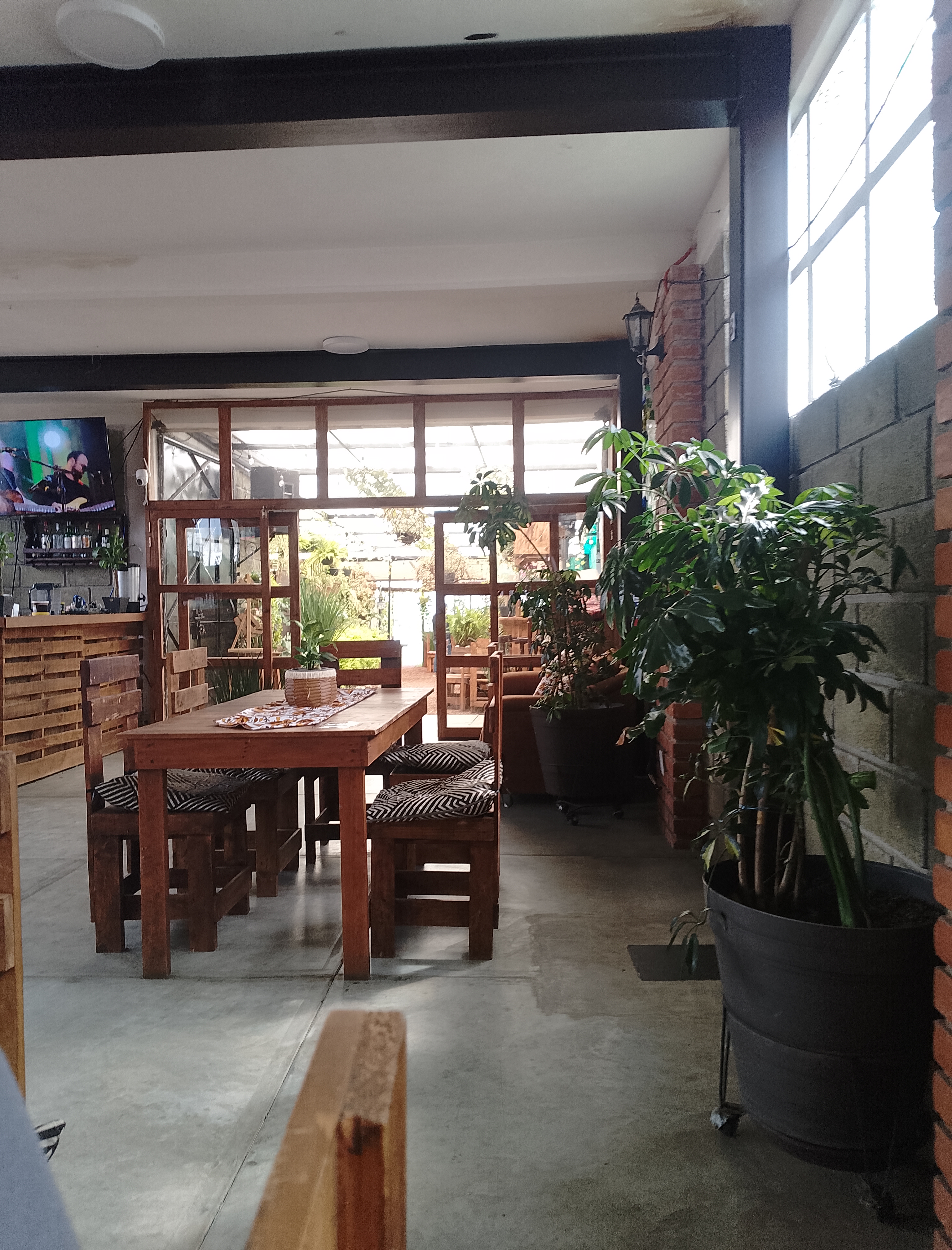 El Mirador 127 image 6