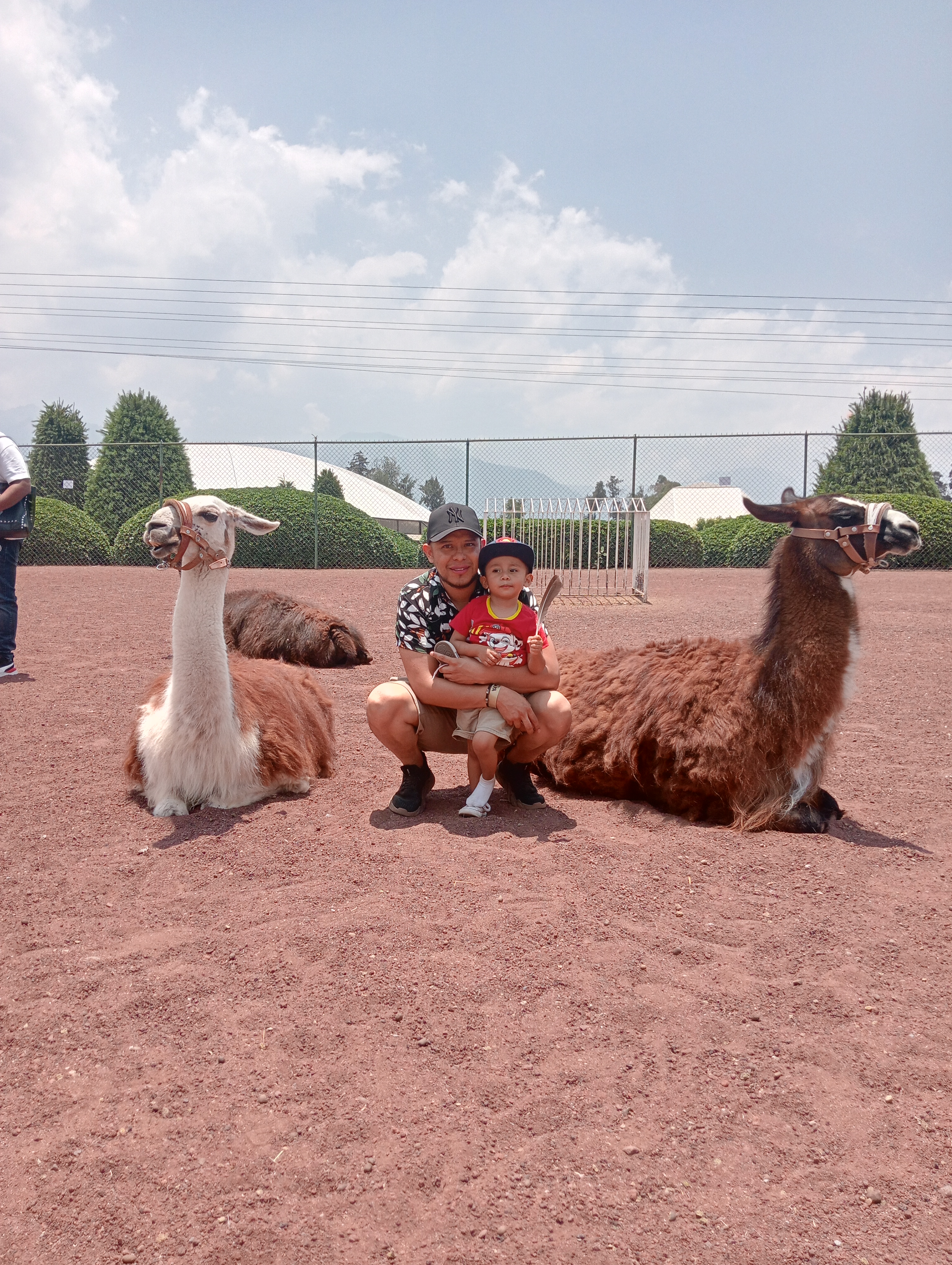 Restaurante " El castillo de los venados" image 8