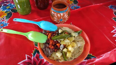 Antojitos Mexicanos Alicia image 6