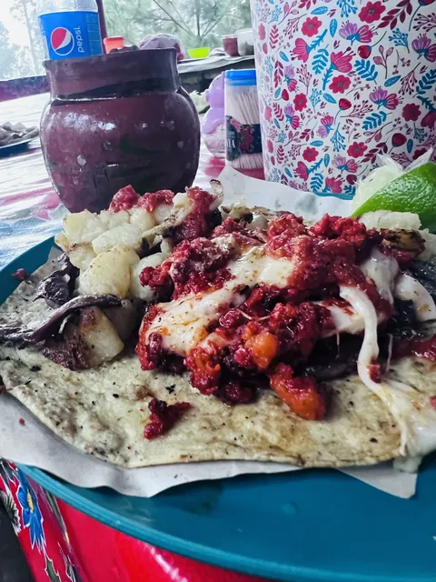 Antojitos Mexicanos Alicia image 7