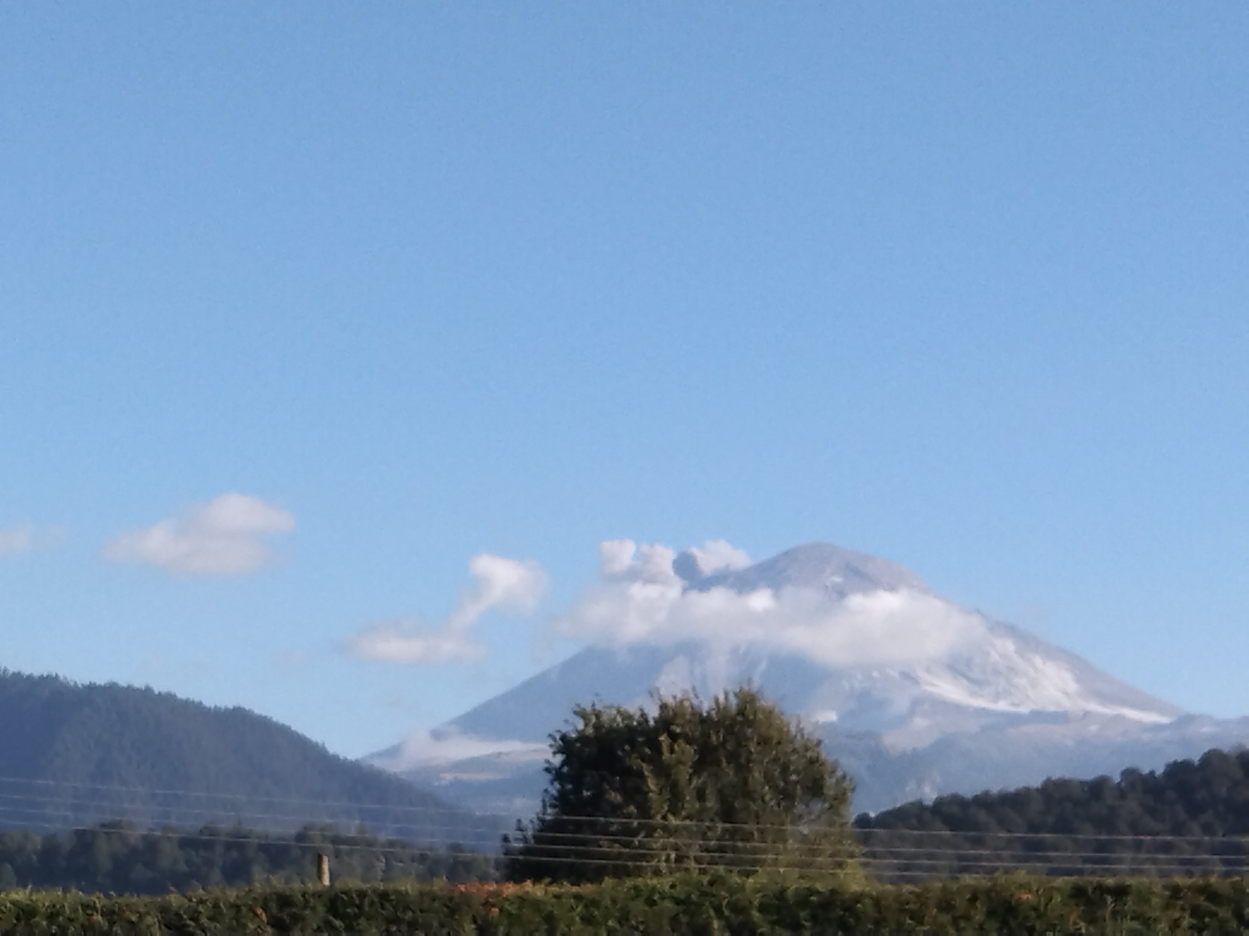 Restaurante "Cremosa", Cocina Tradicional image 5