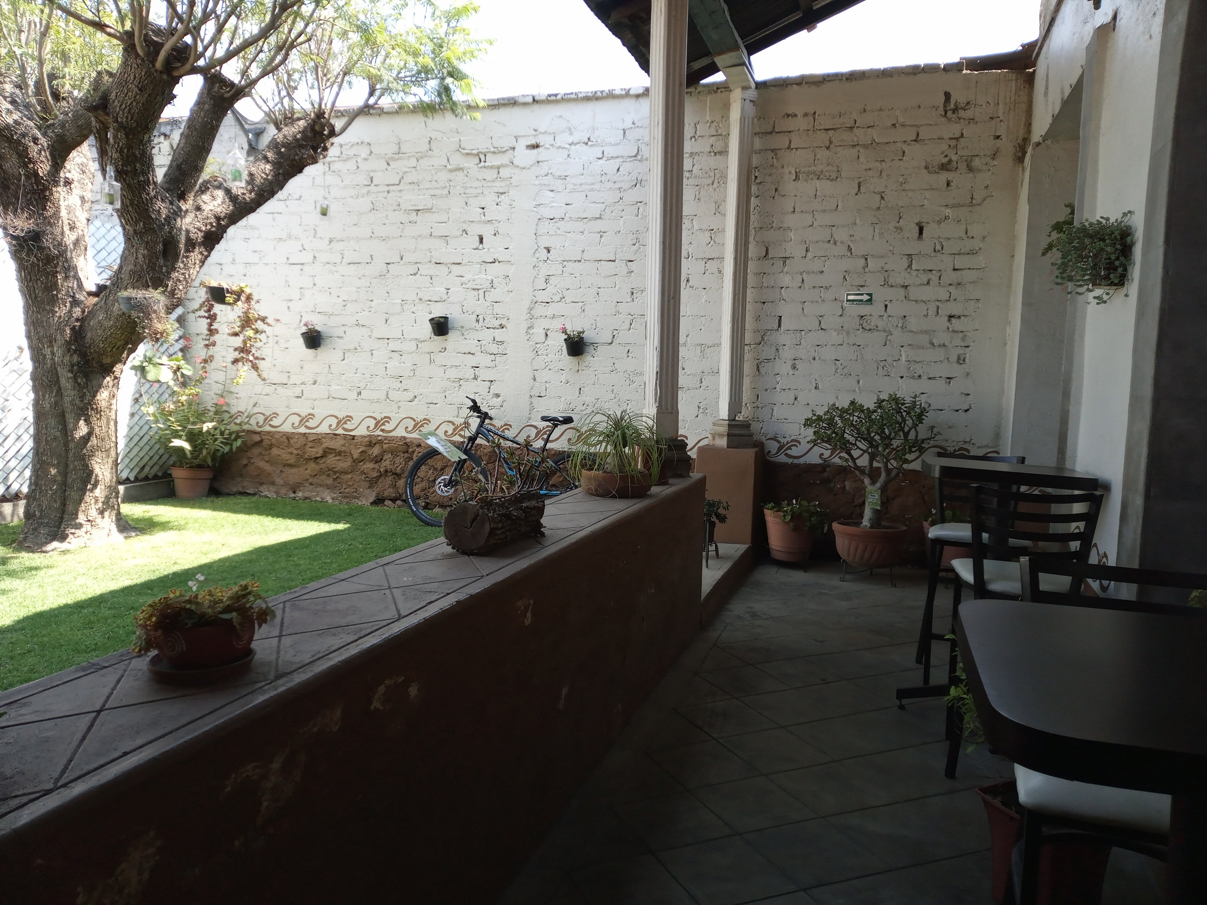 Restaurante Quinta Jacarandas image 6