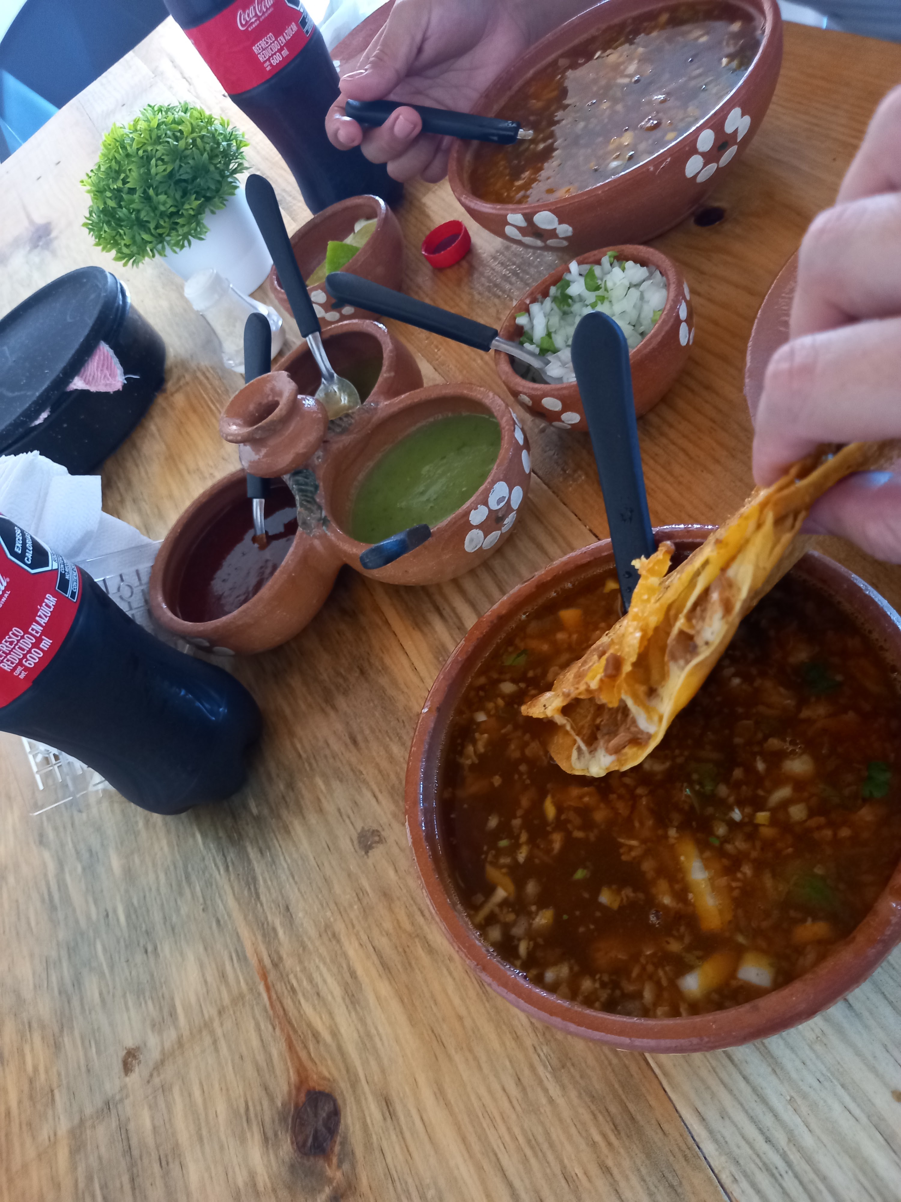 Birria San Patricio image 9