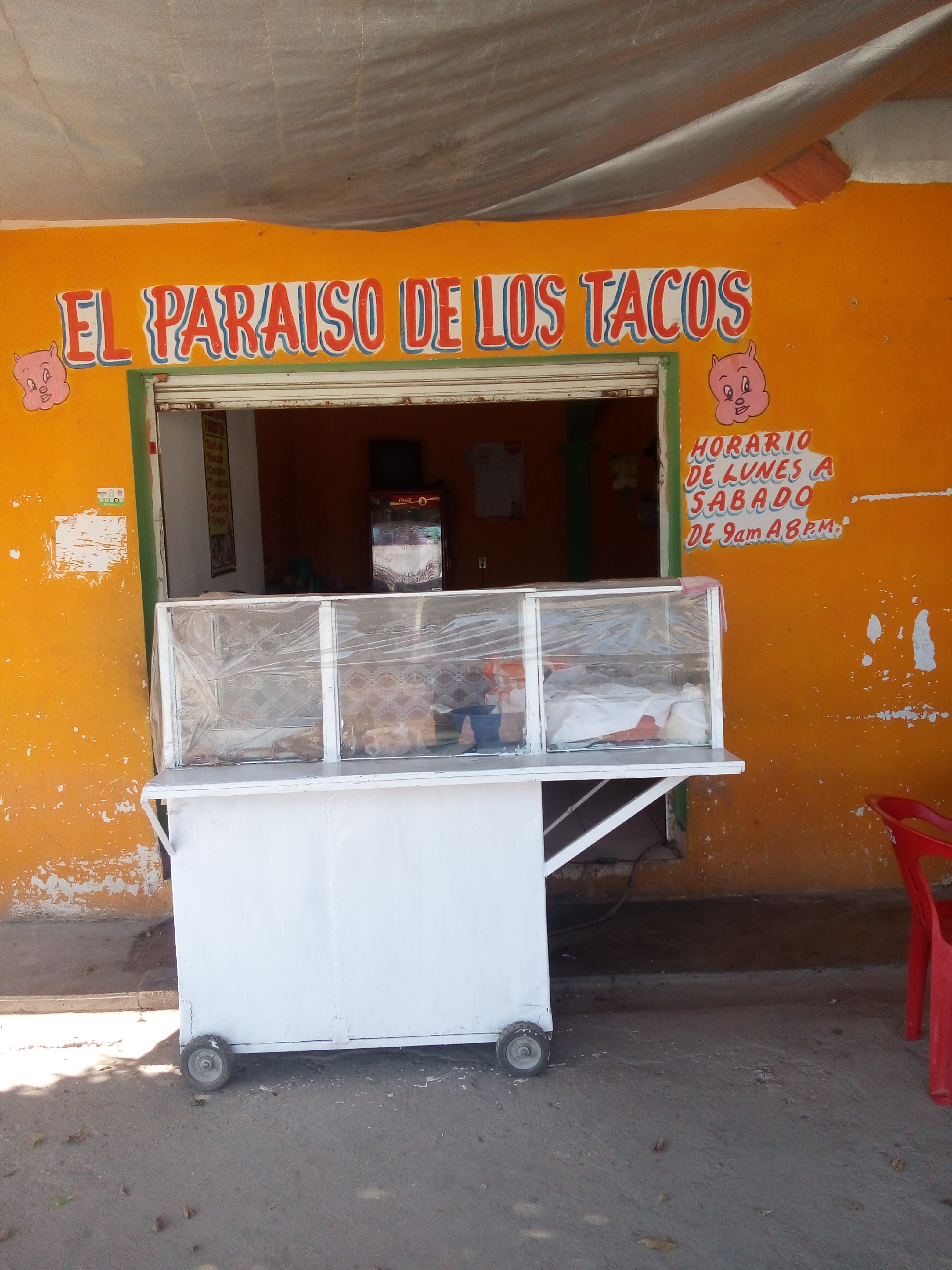 El Paraíso de los Tacos image 3