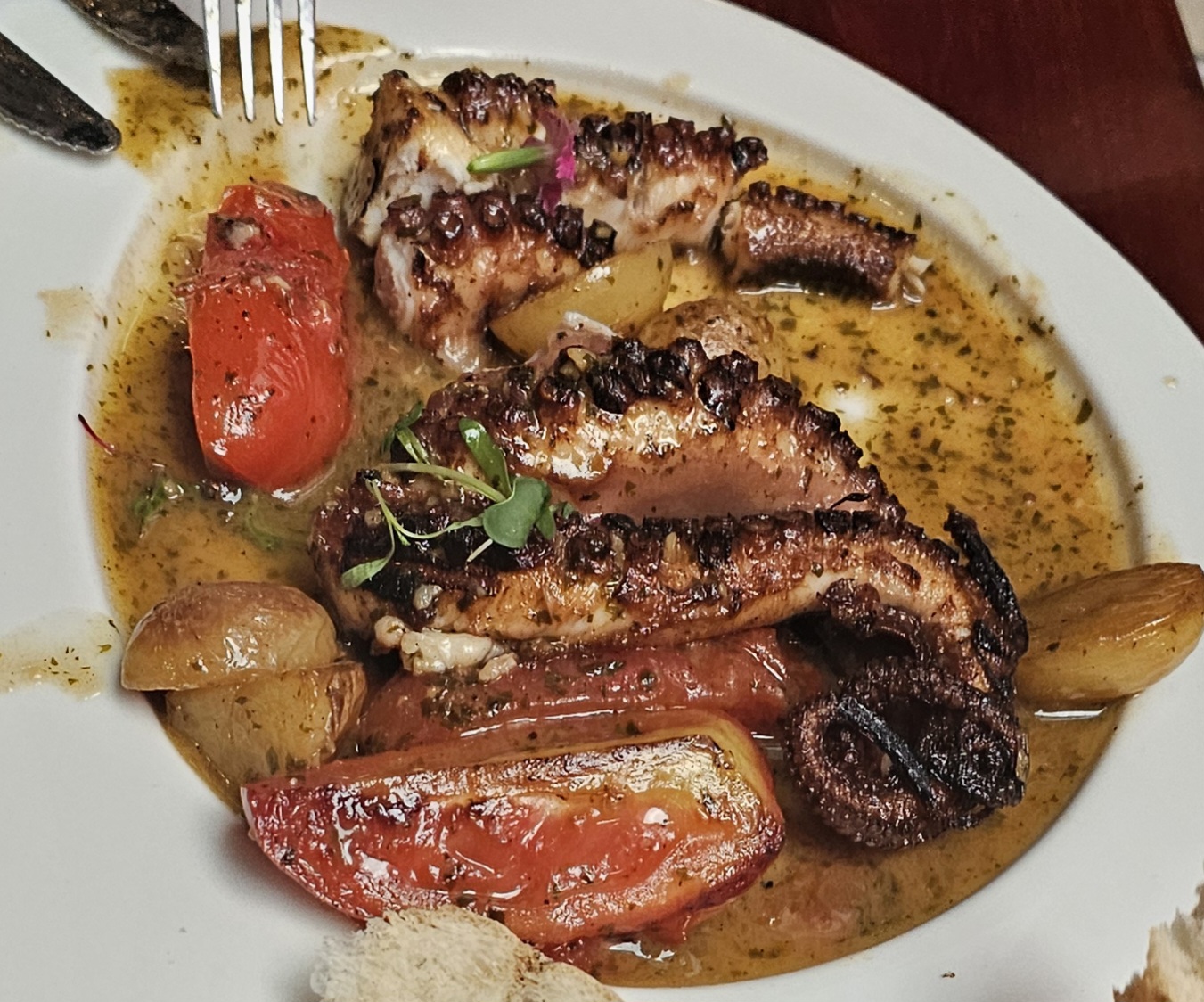 Costa Brava Marisco image 4