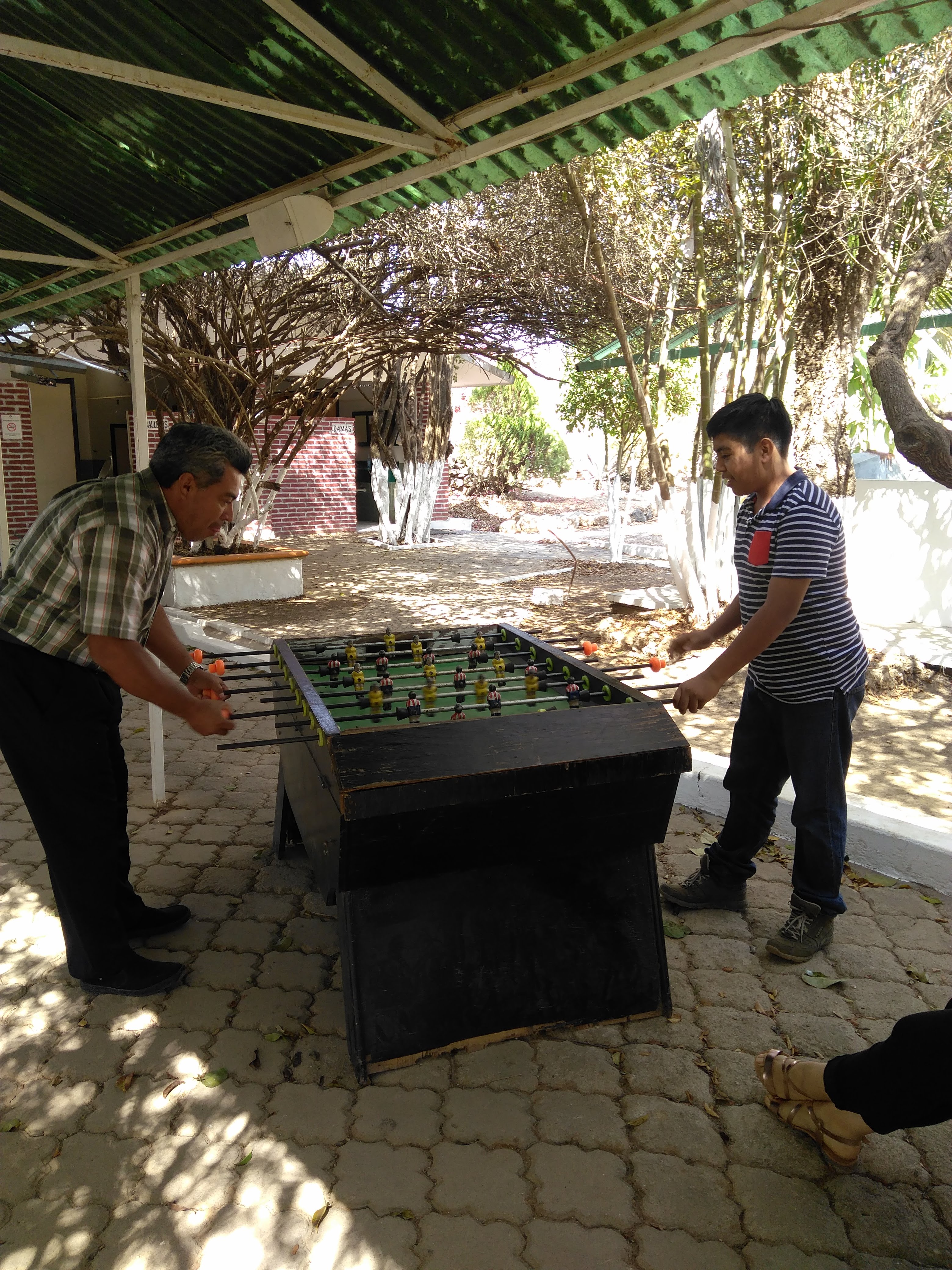 Quinta Primavera Restaurante Ecológico image 5