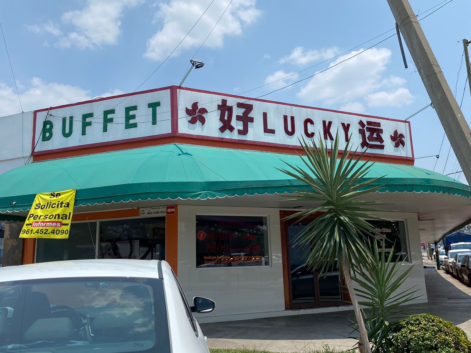 BUFFET Comida China Lucky image 7