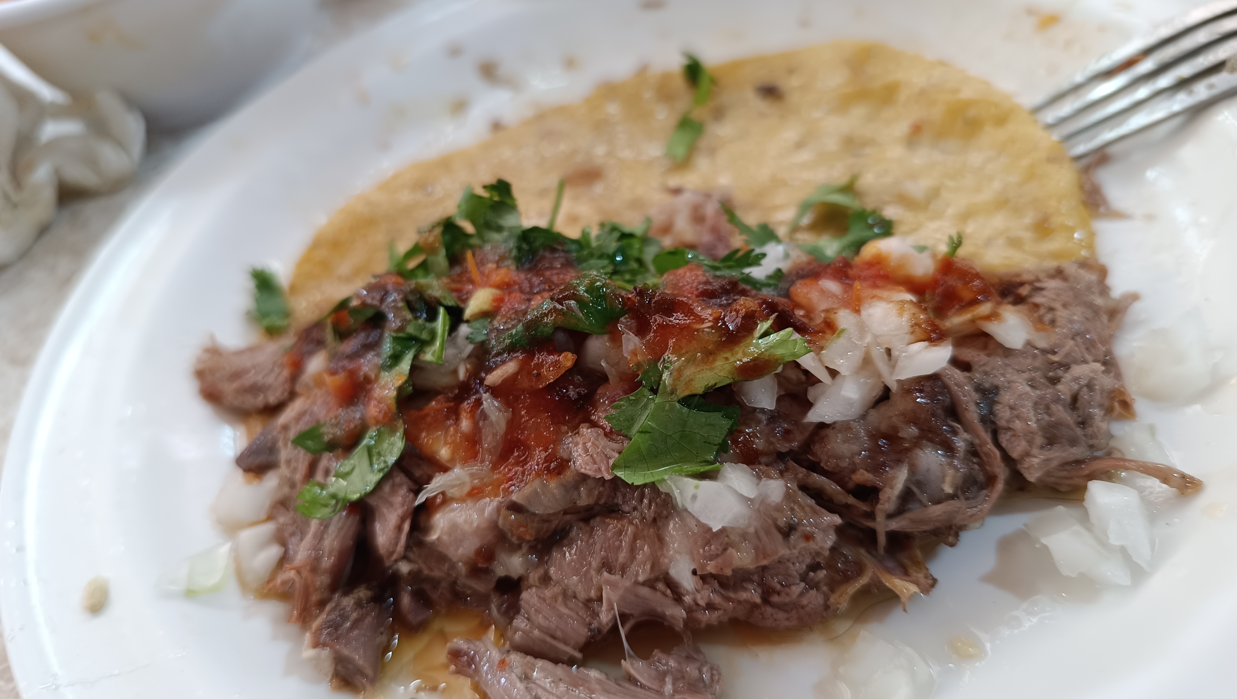 Barbacoa Santiago image 9