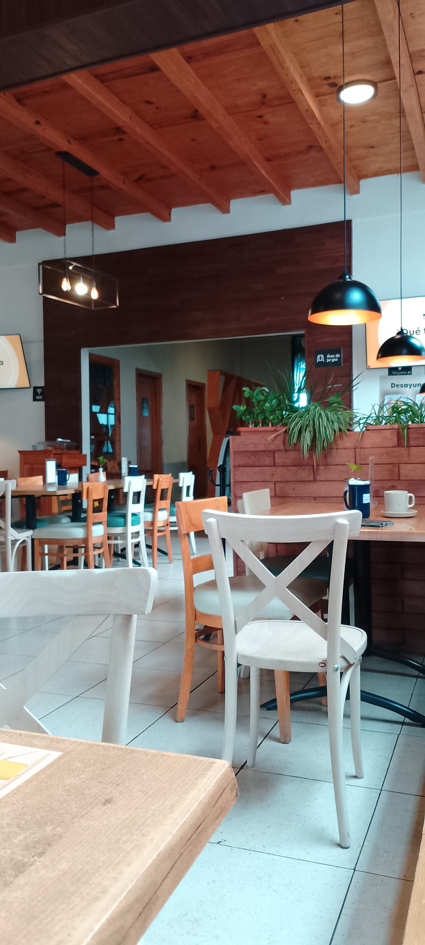 Sol y Luna Alcanfores image 5