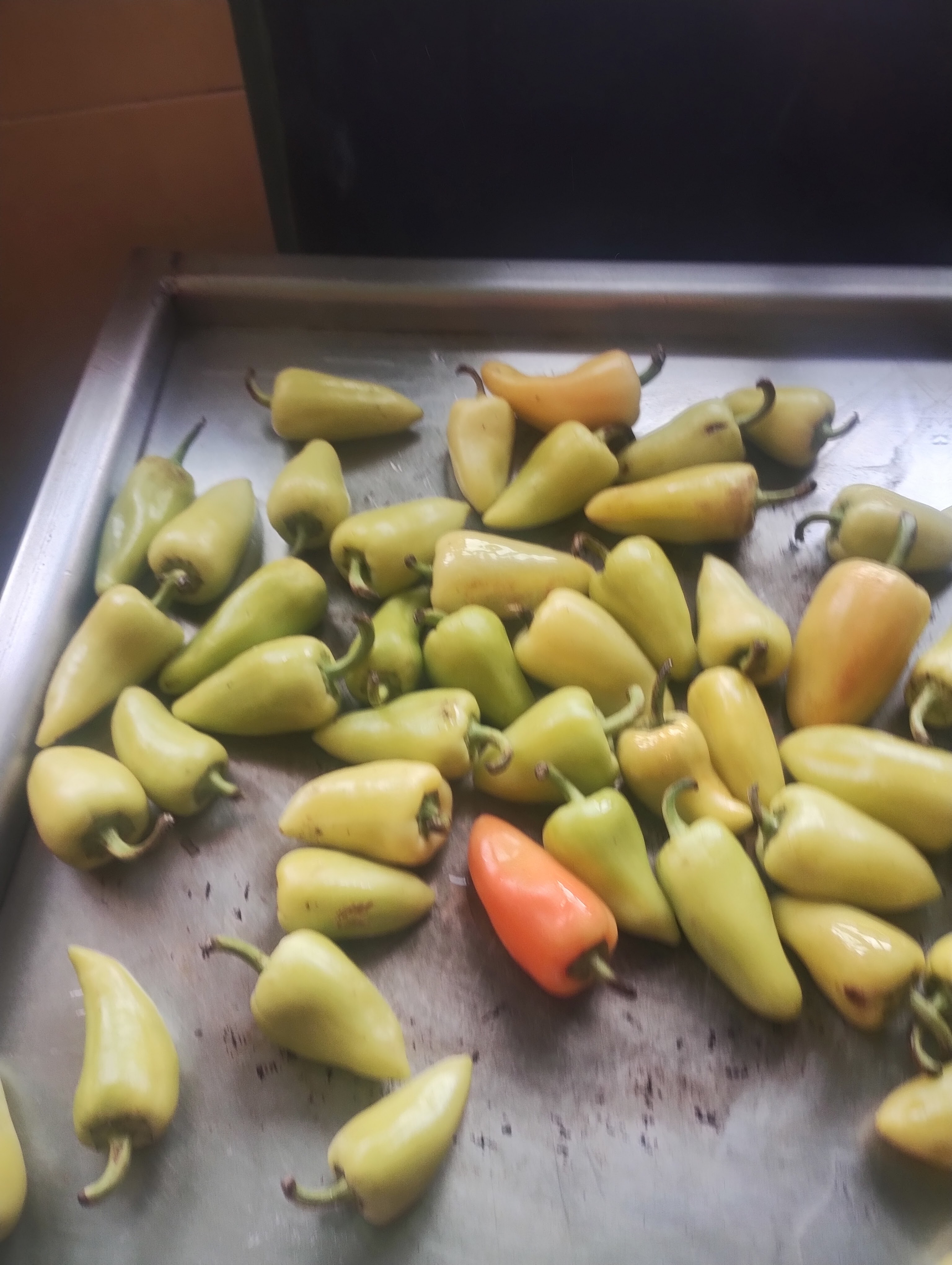 TAQUERIA MI PUEBLO image 9