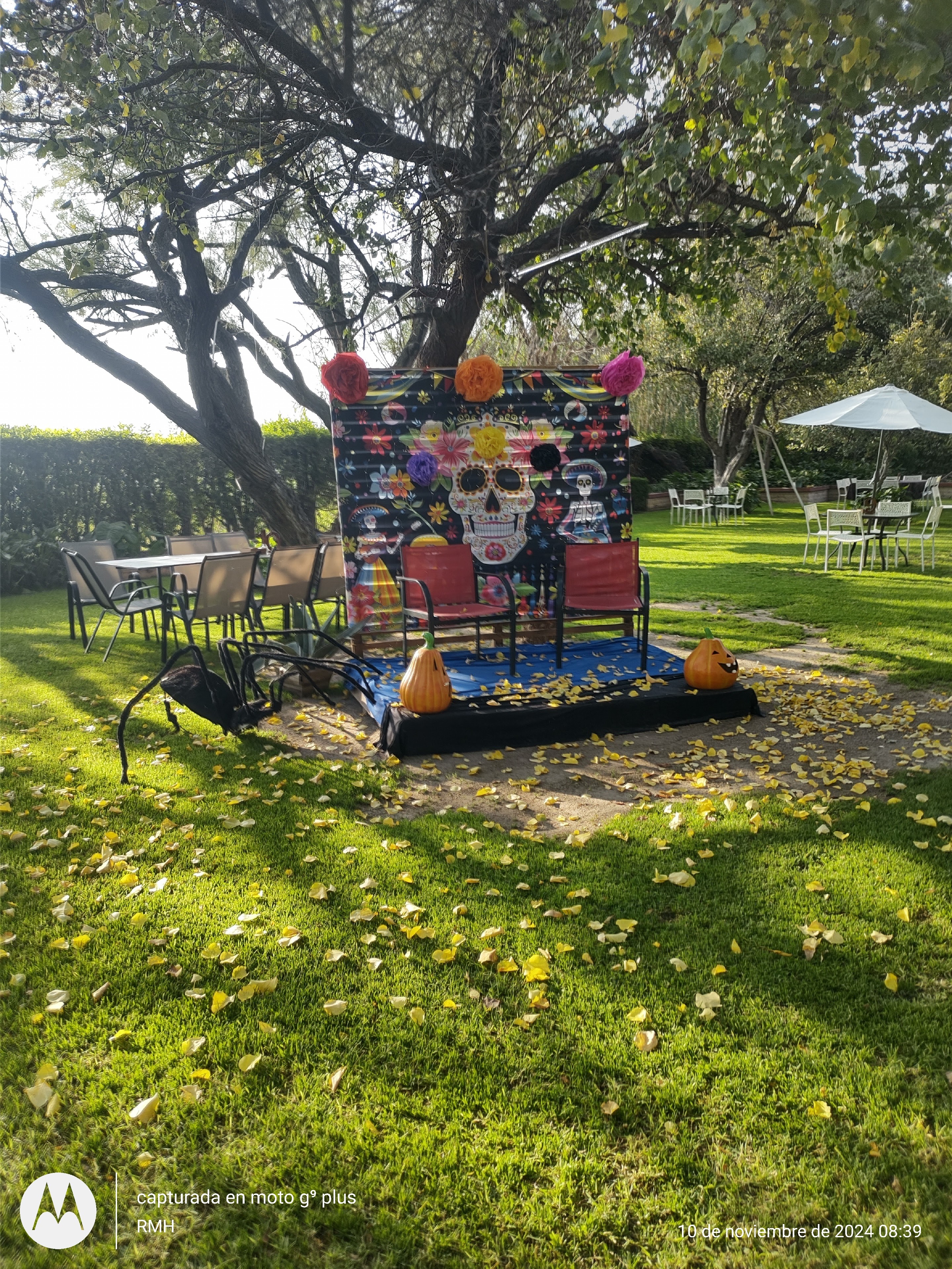 RANCHO "LOS ALCATRACES" image 5