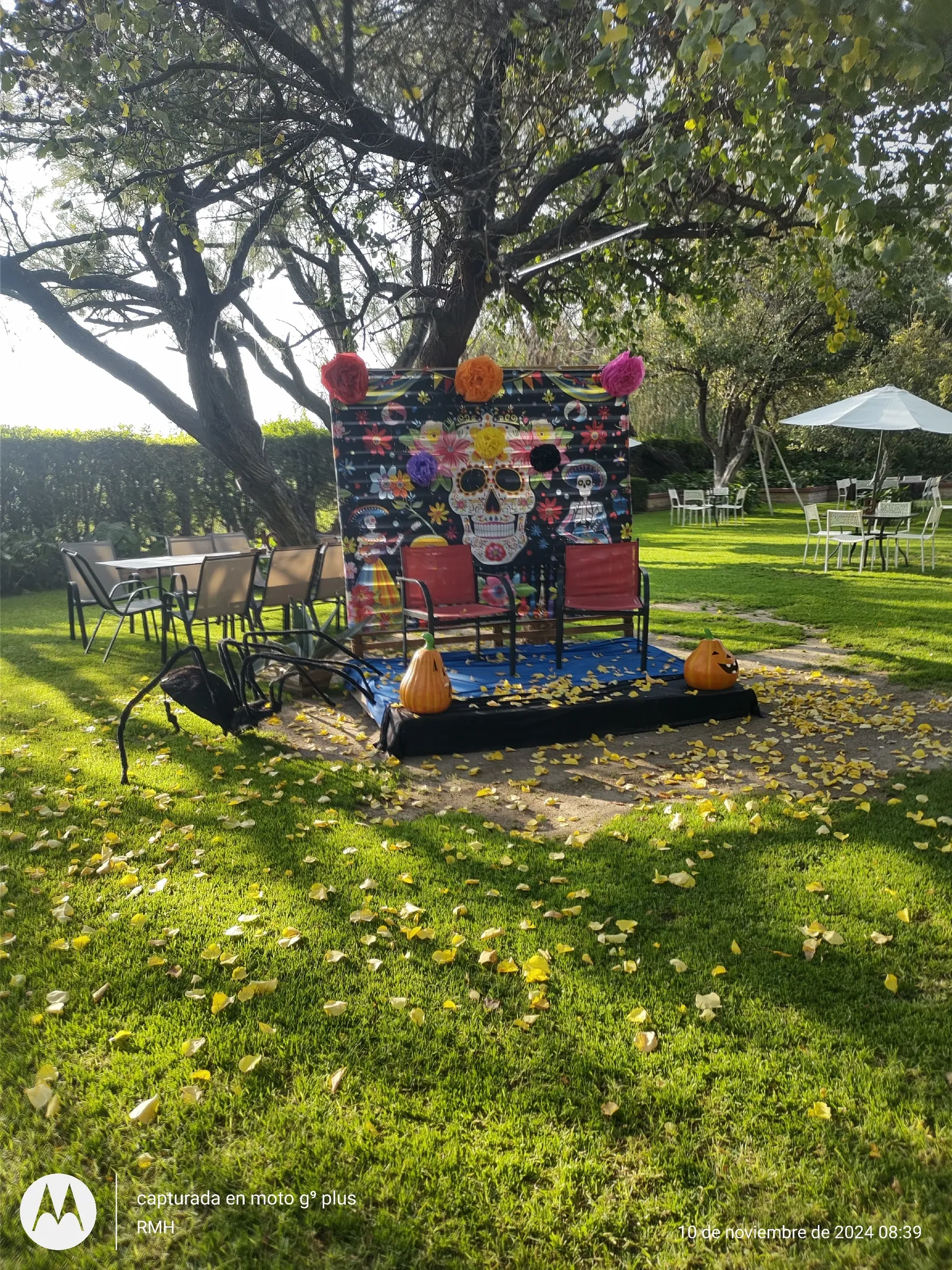 RANCHO "LOS ALCATRACES" image 5