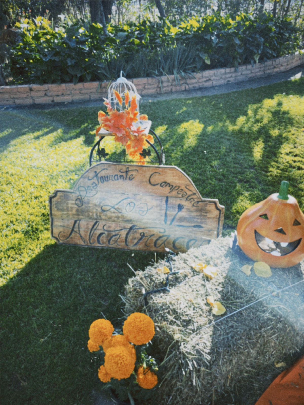 RANCHO "LOS ALCATRACES" image 6