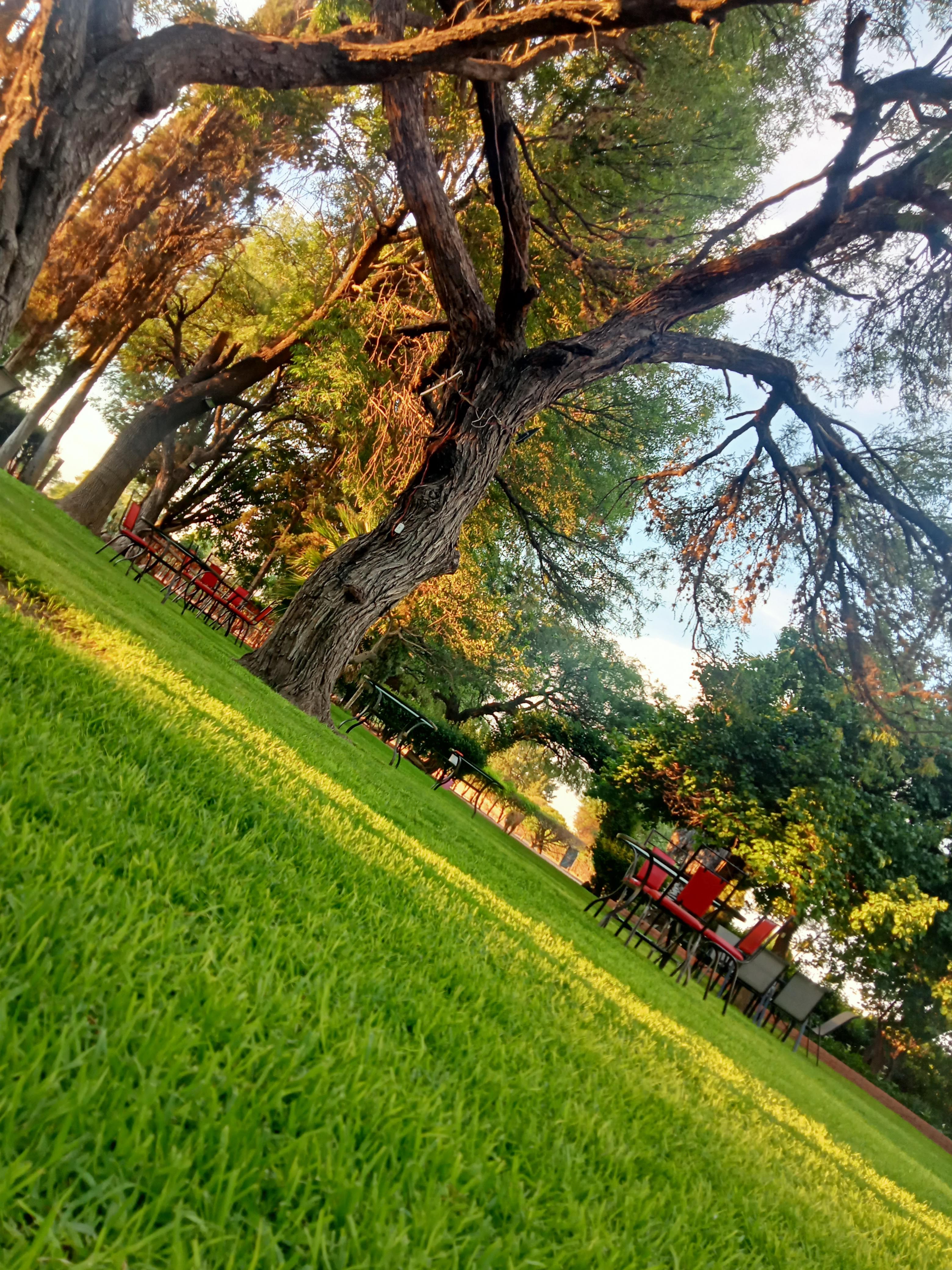 RANCHO "LOS ALCATRACES" image 8