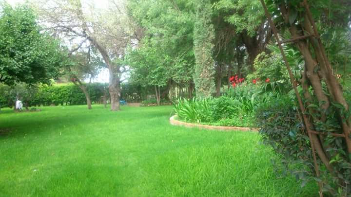 RANCHO "LOS ALCATRACES" image 10