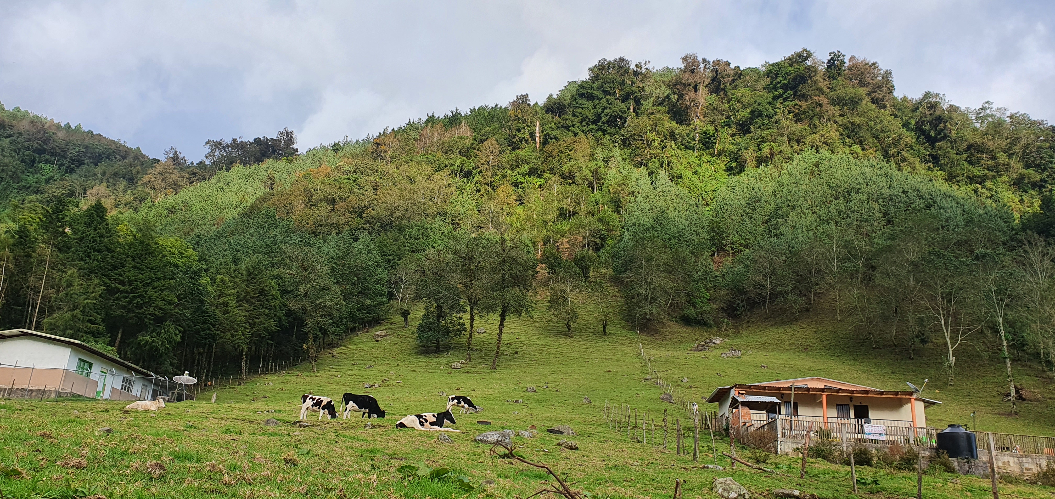 Casa Charito Restaurante image 4