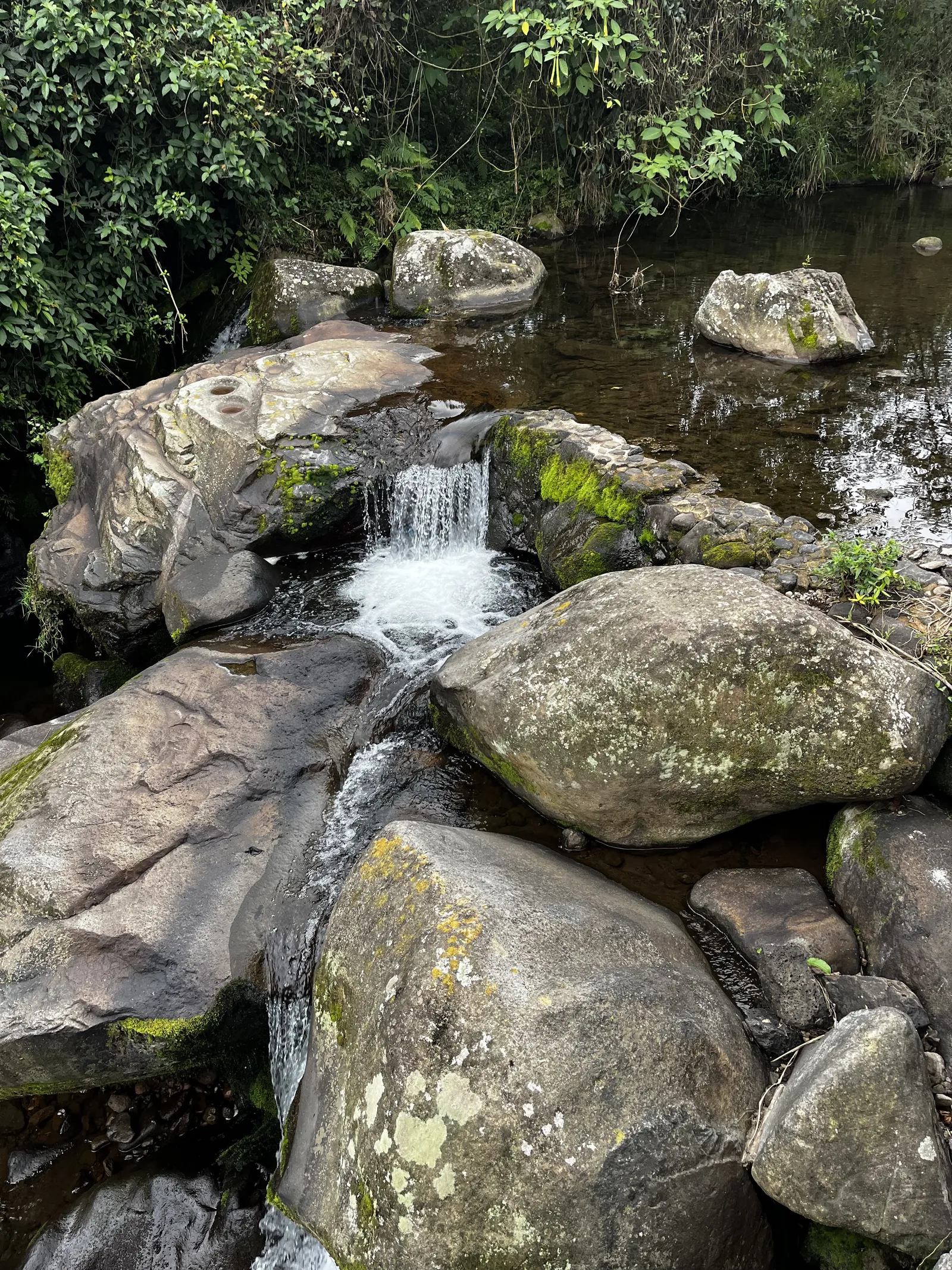 El Salto De La Trucha image 5