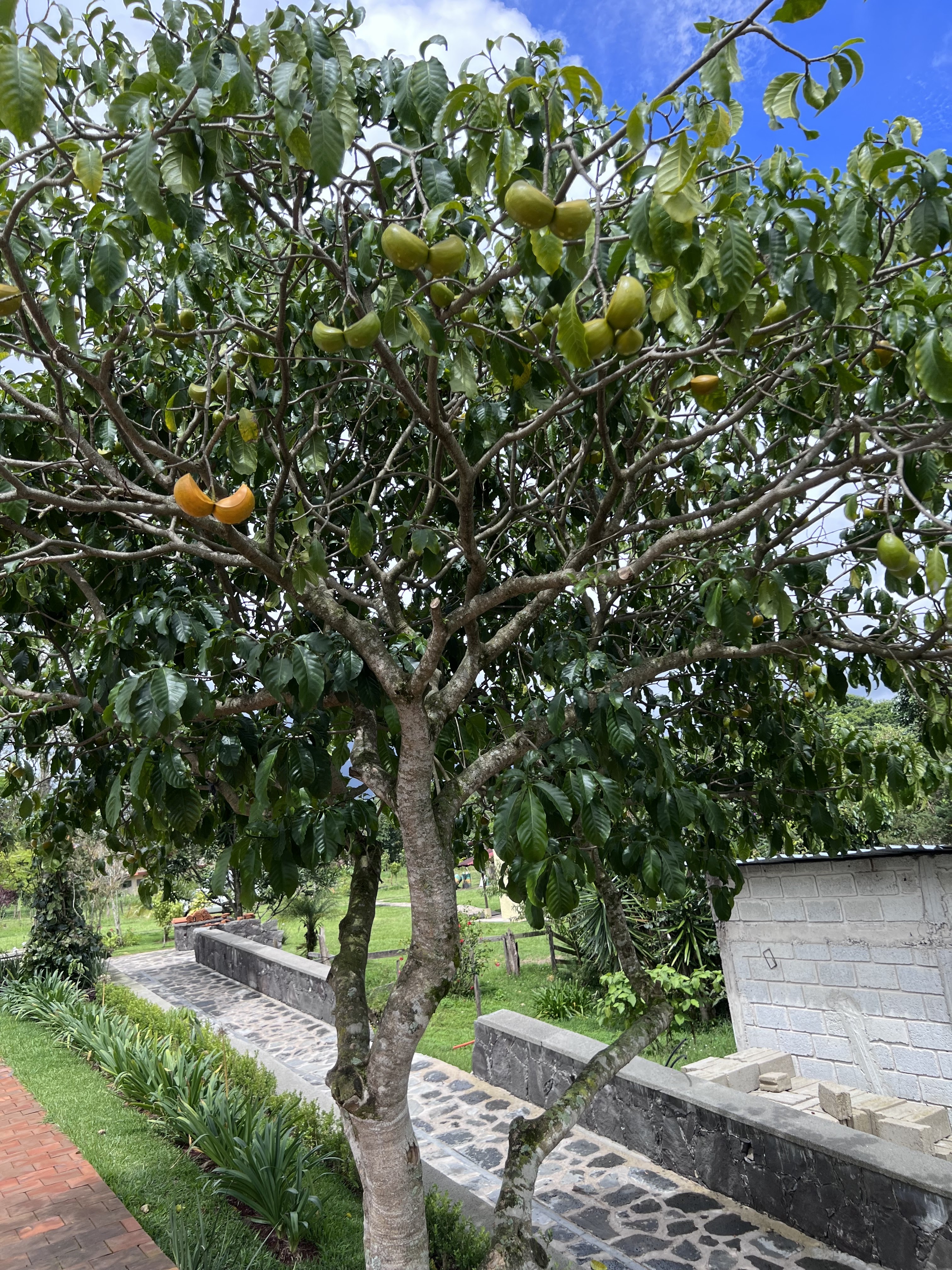 El Salto De La Trucha image 10