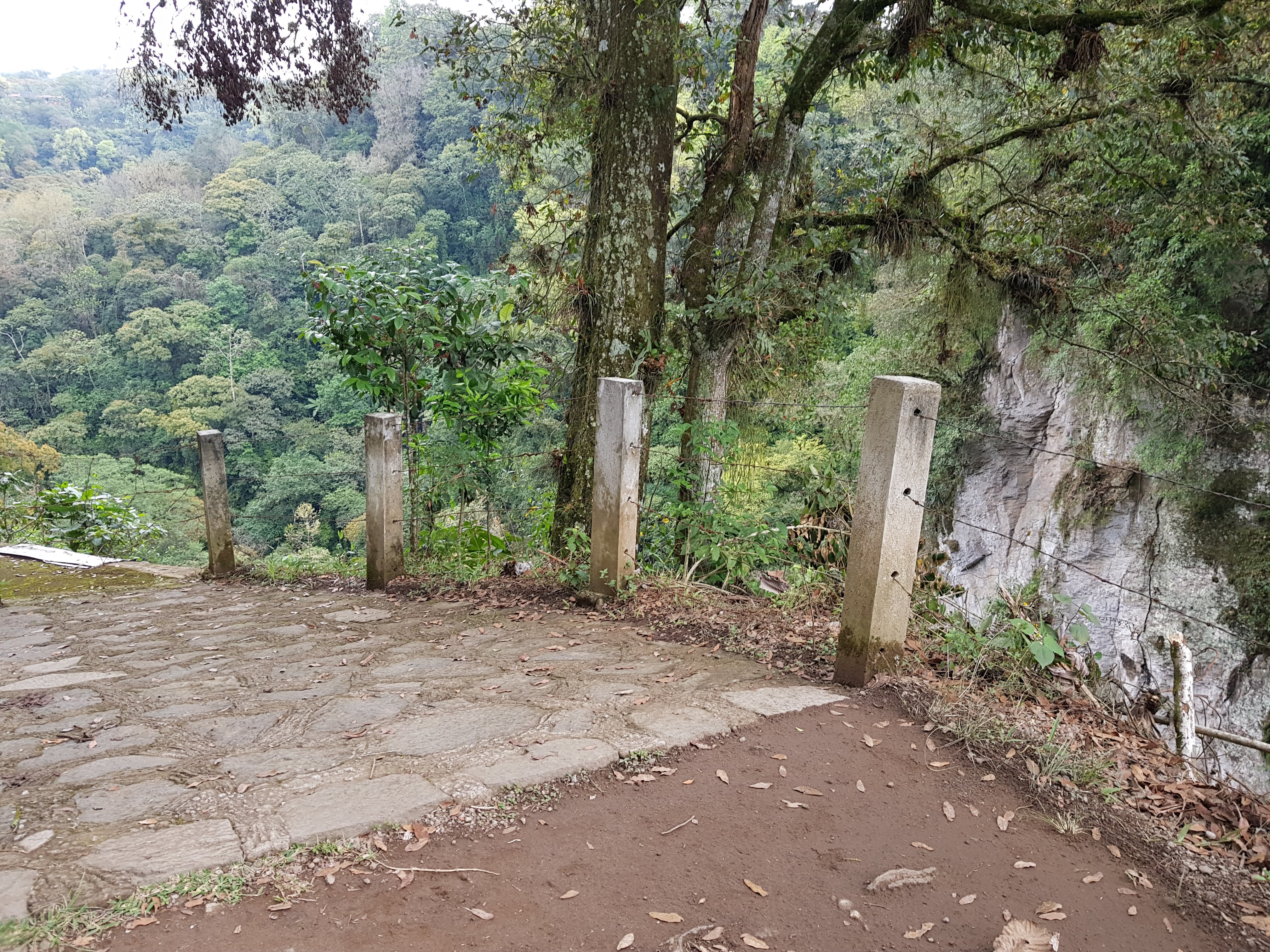 Restaurante la Estación image 8