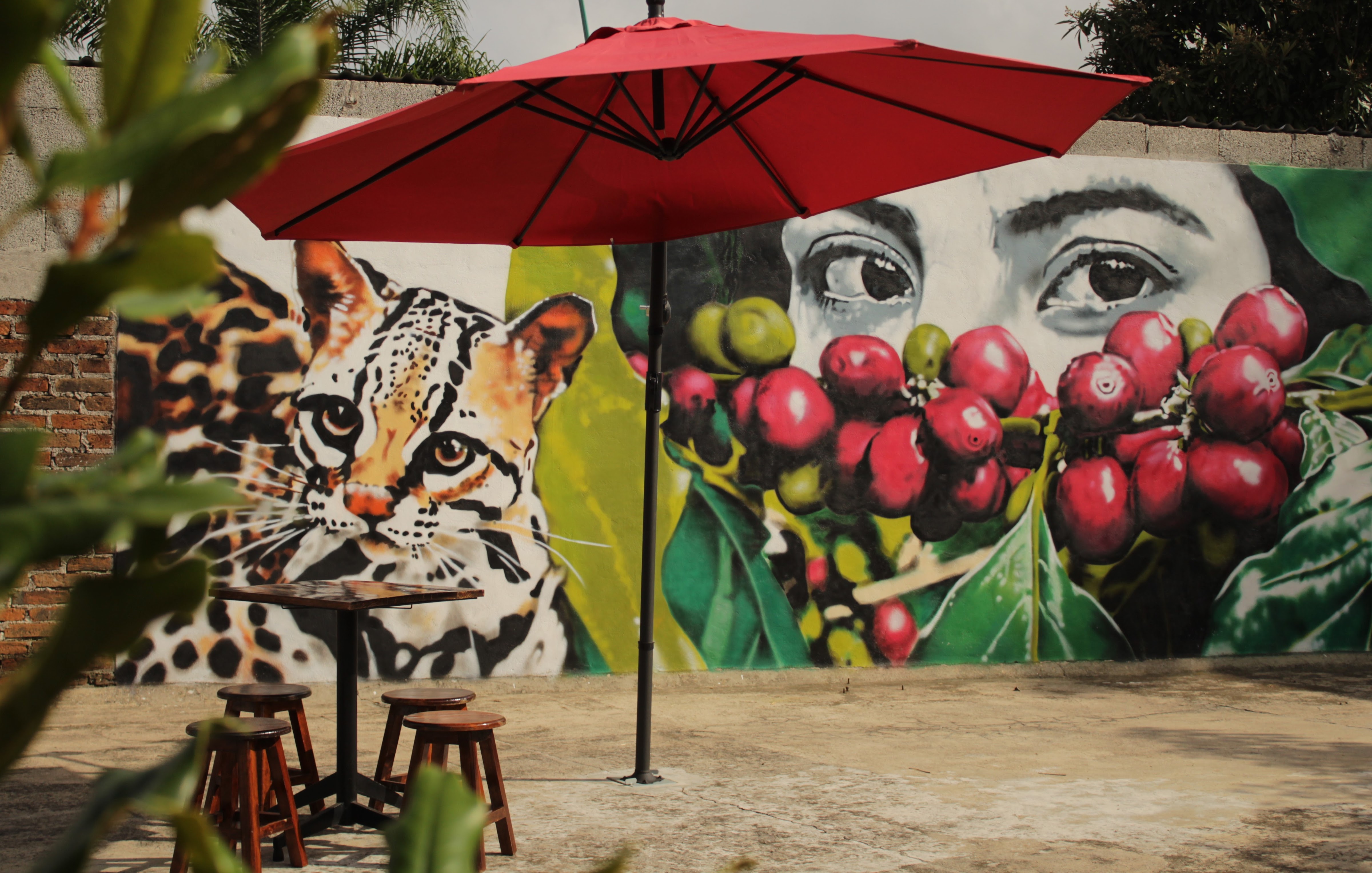 El Beneficio image 10