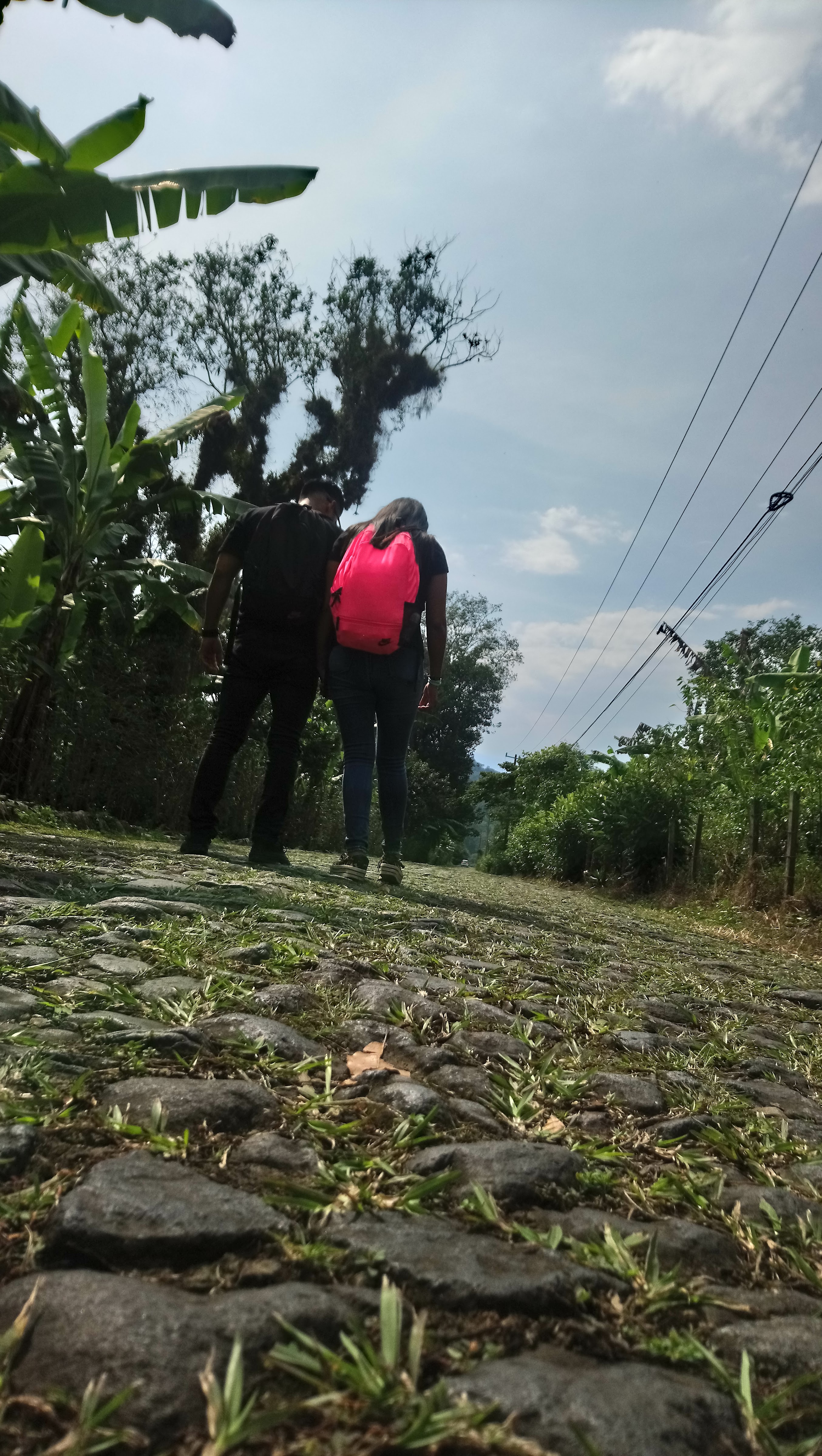 Restaurante La Berenjena image 10