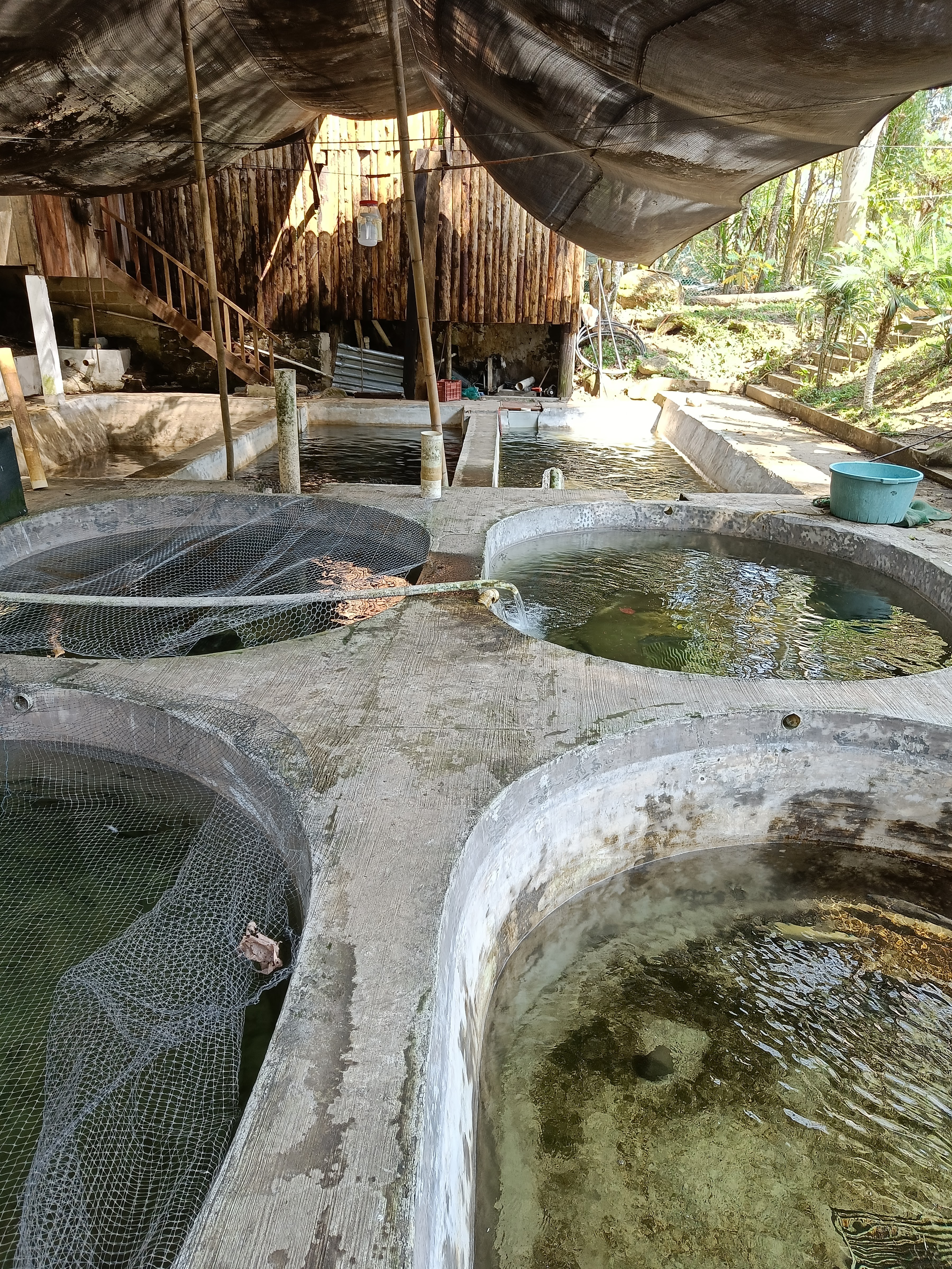 Restaurante El Acuario image 7