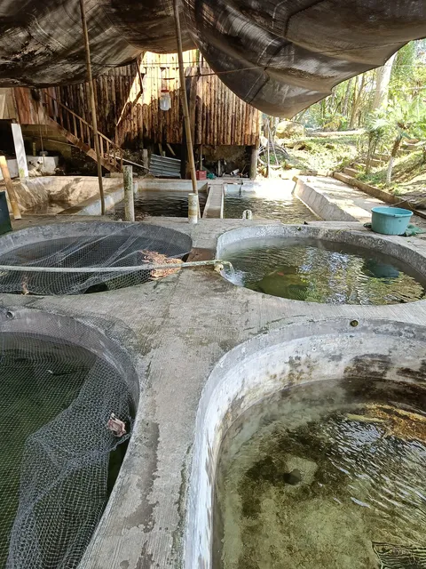 Restaurante El Acuario image 7