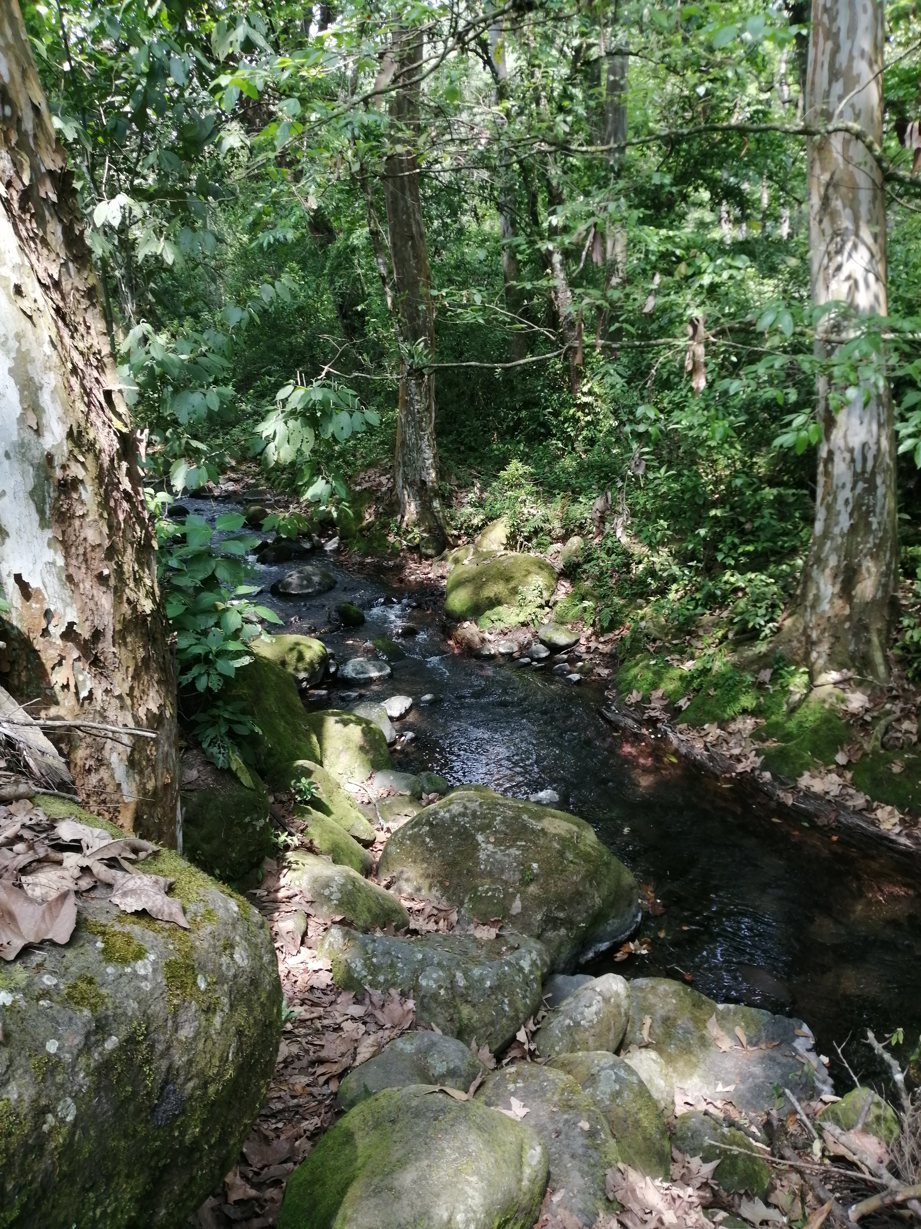 Restaurante El Acuario image 8