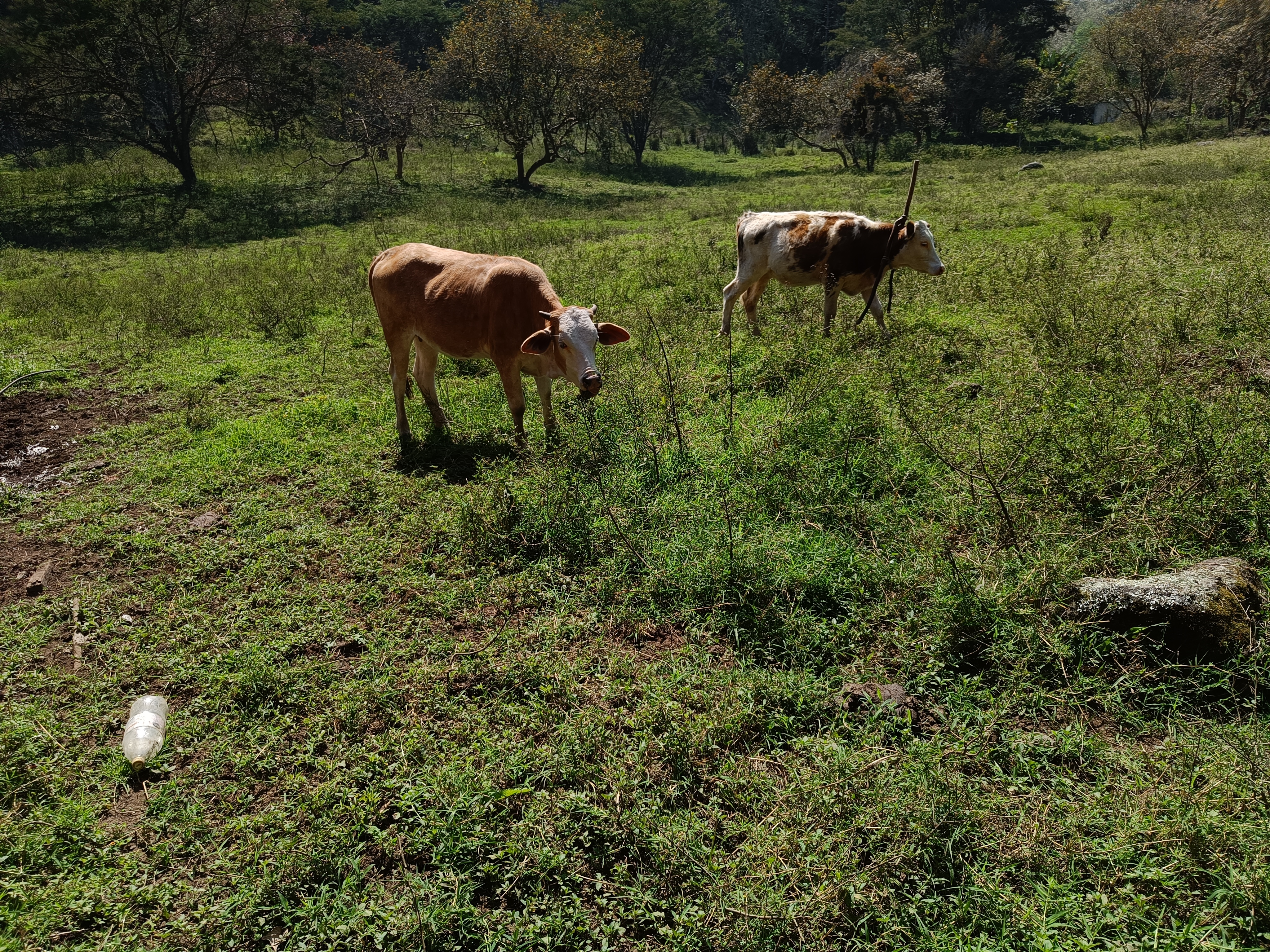 Restaurante El Acuario image 9