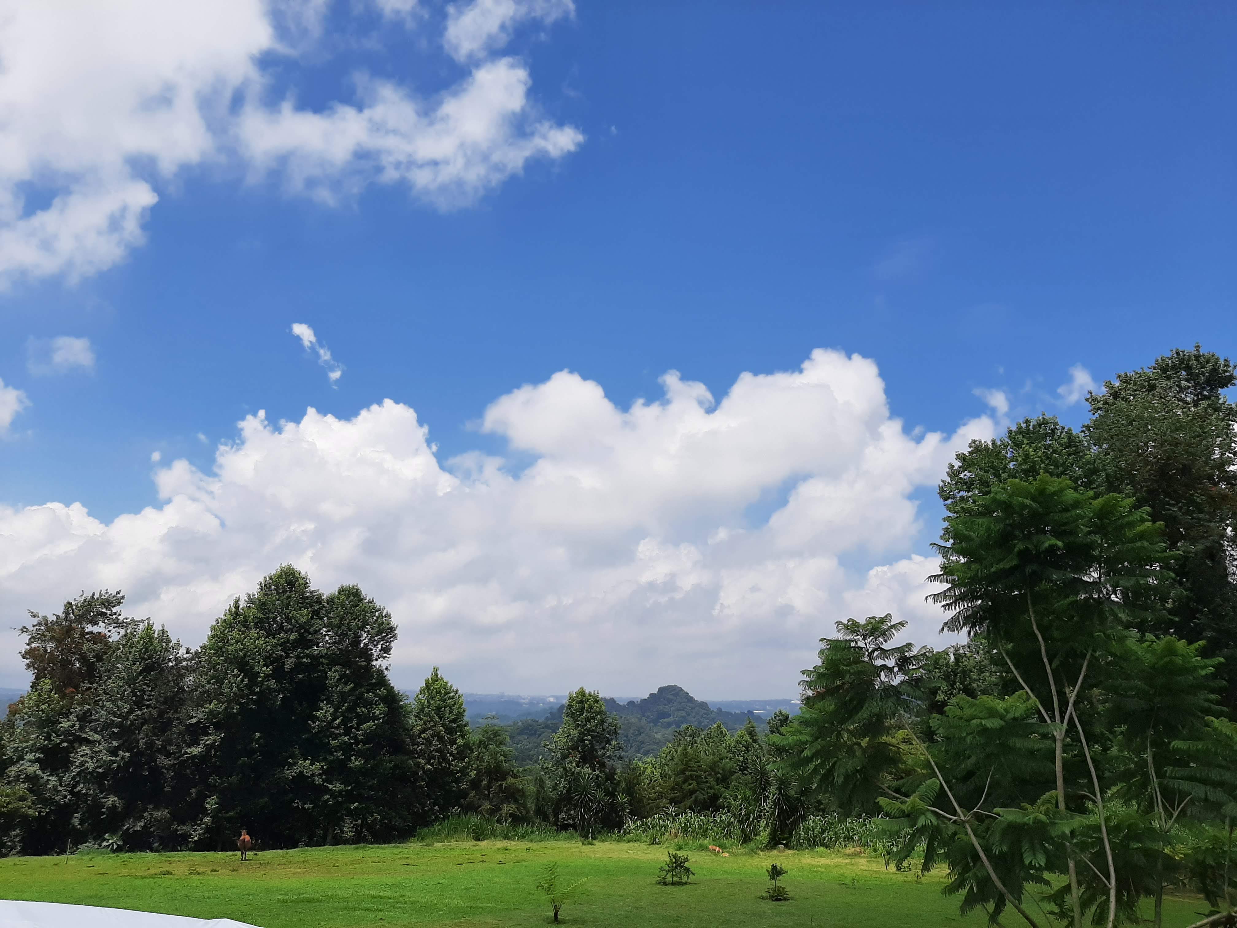 LOS CORTES CABAÑA RESTAURANTE image 4