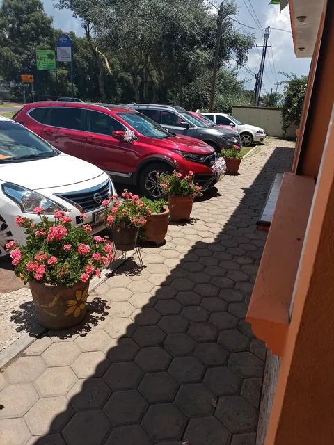 Pollos Tlaxcala image 7
