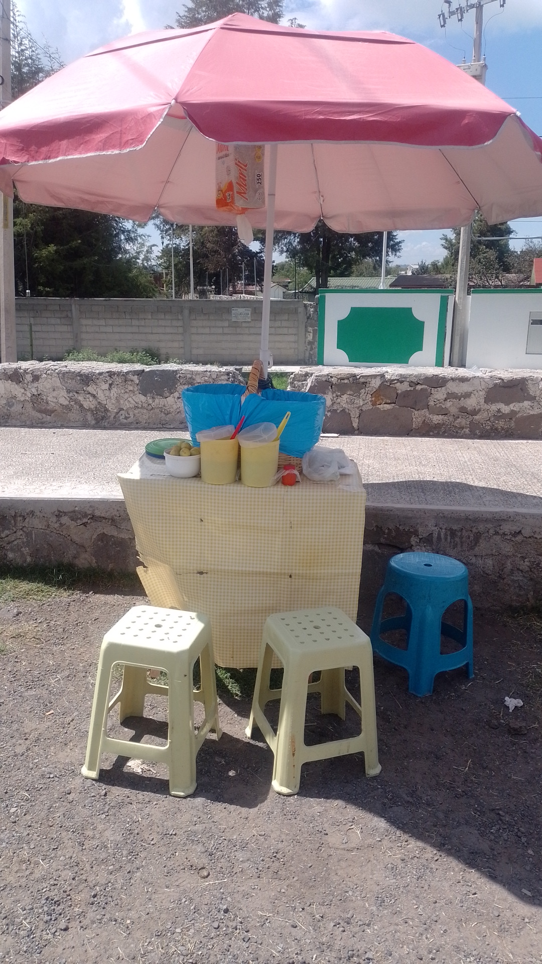 Tacos de canasta "el Micky" image 1