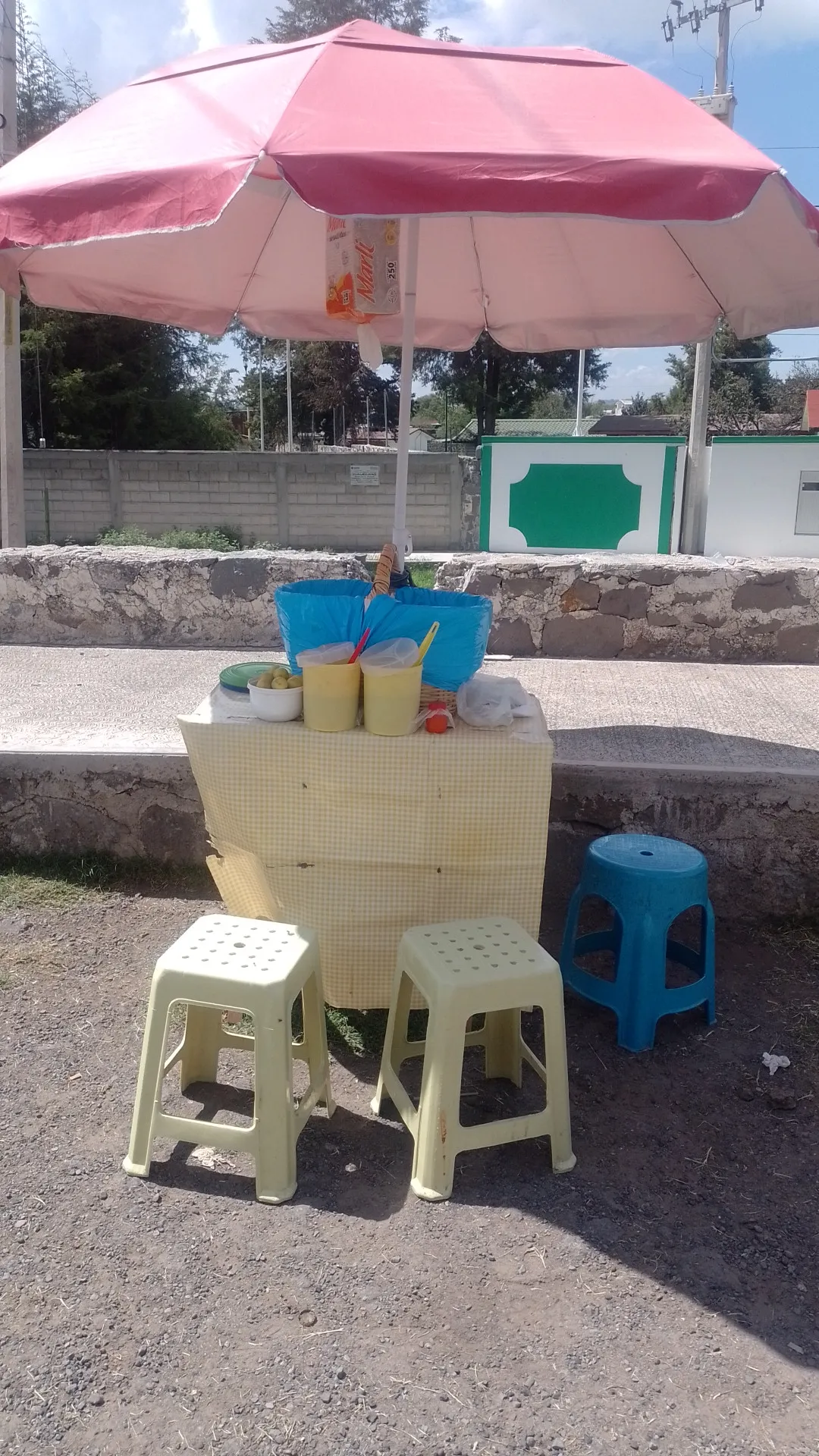 Tacos de canasta "el Micky" image 1