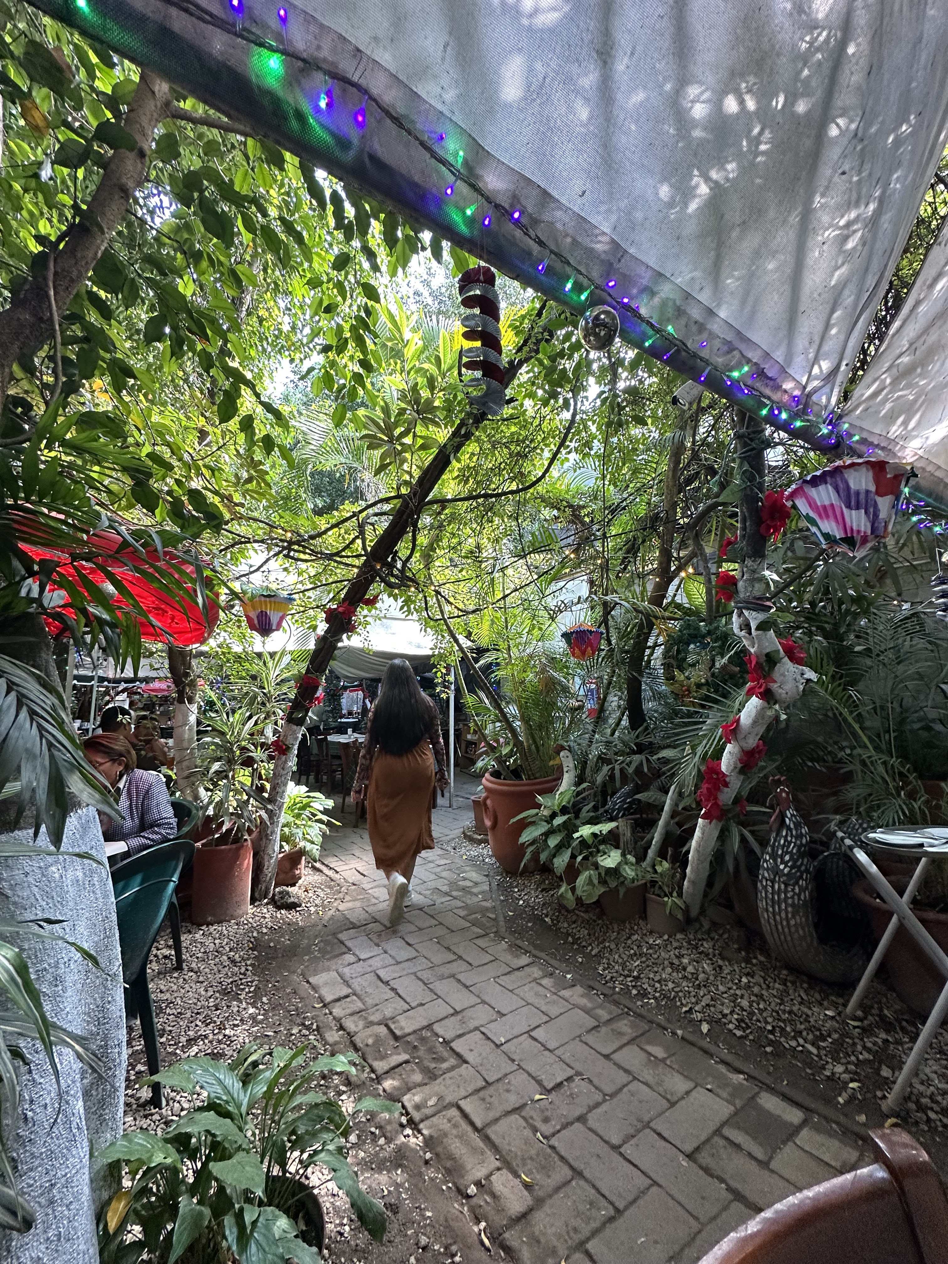 Marco Polo Seafood Restaurant image 5