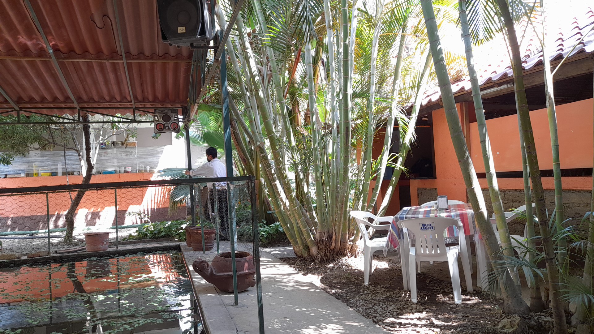 Restaurant Bar Goyo's image 1