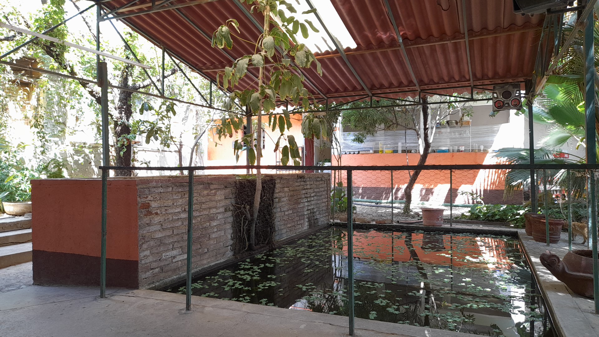 Restaurant Bar Goyo's image 5