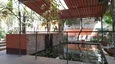 Restaurant Bar Goyo's image 5