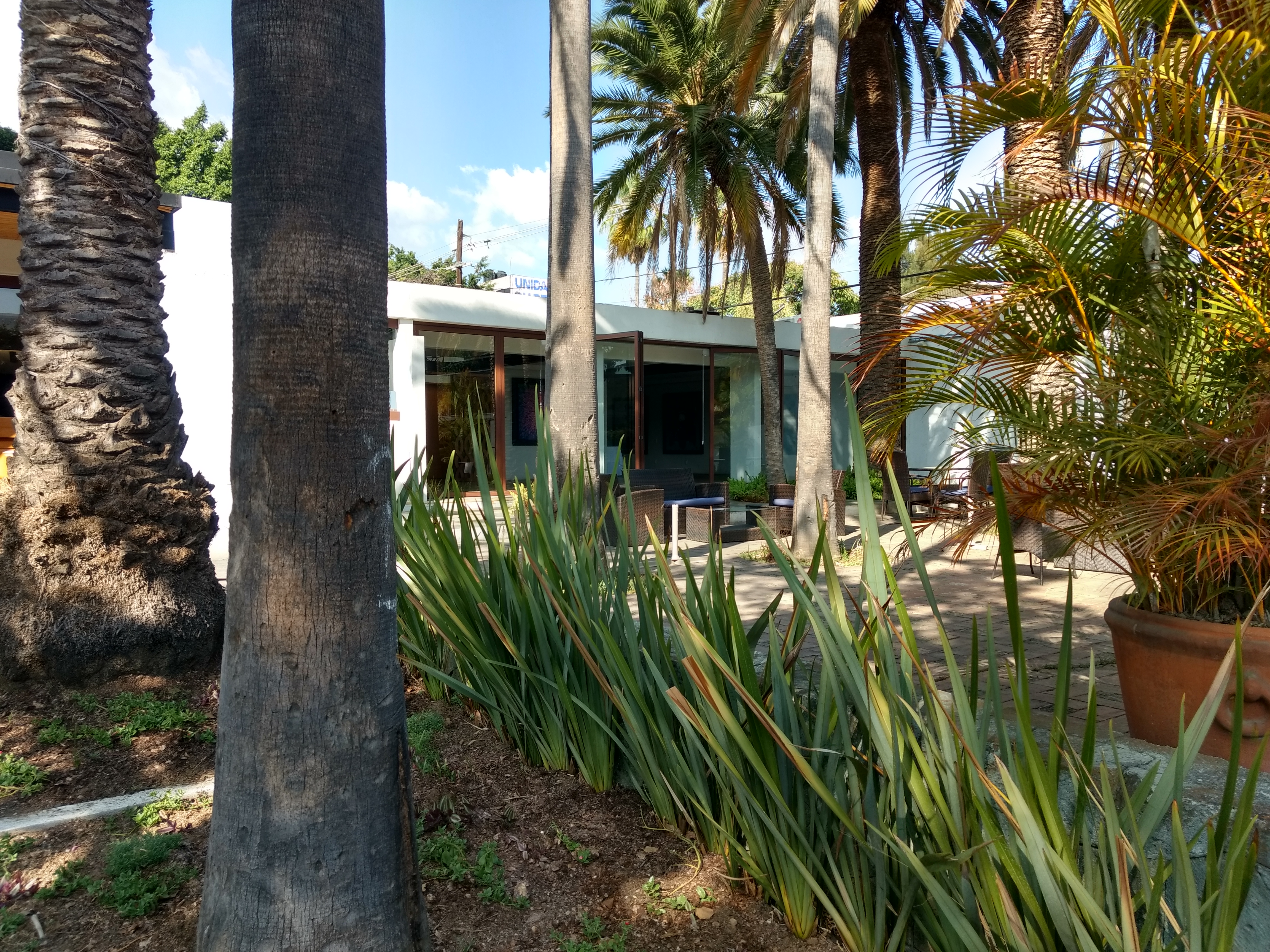 Restaurante Casa Palmeras image 4