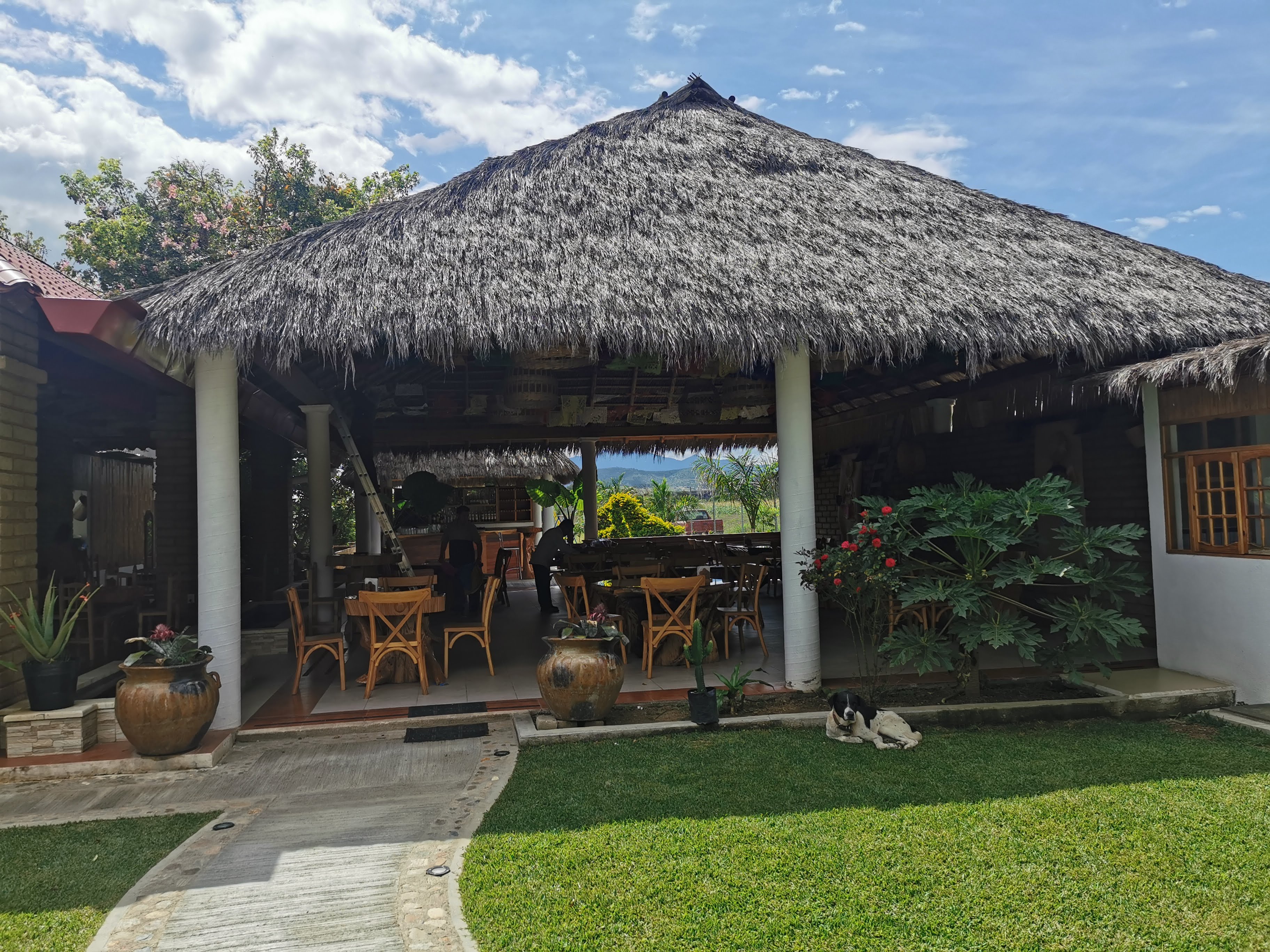 Restaurante El Chapulín image 7