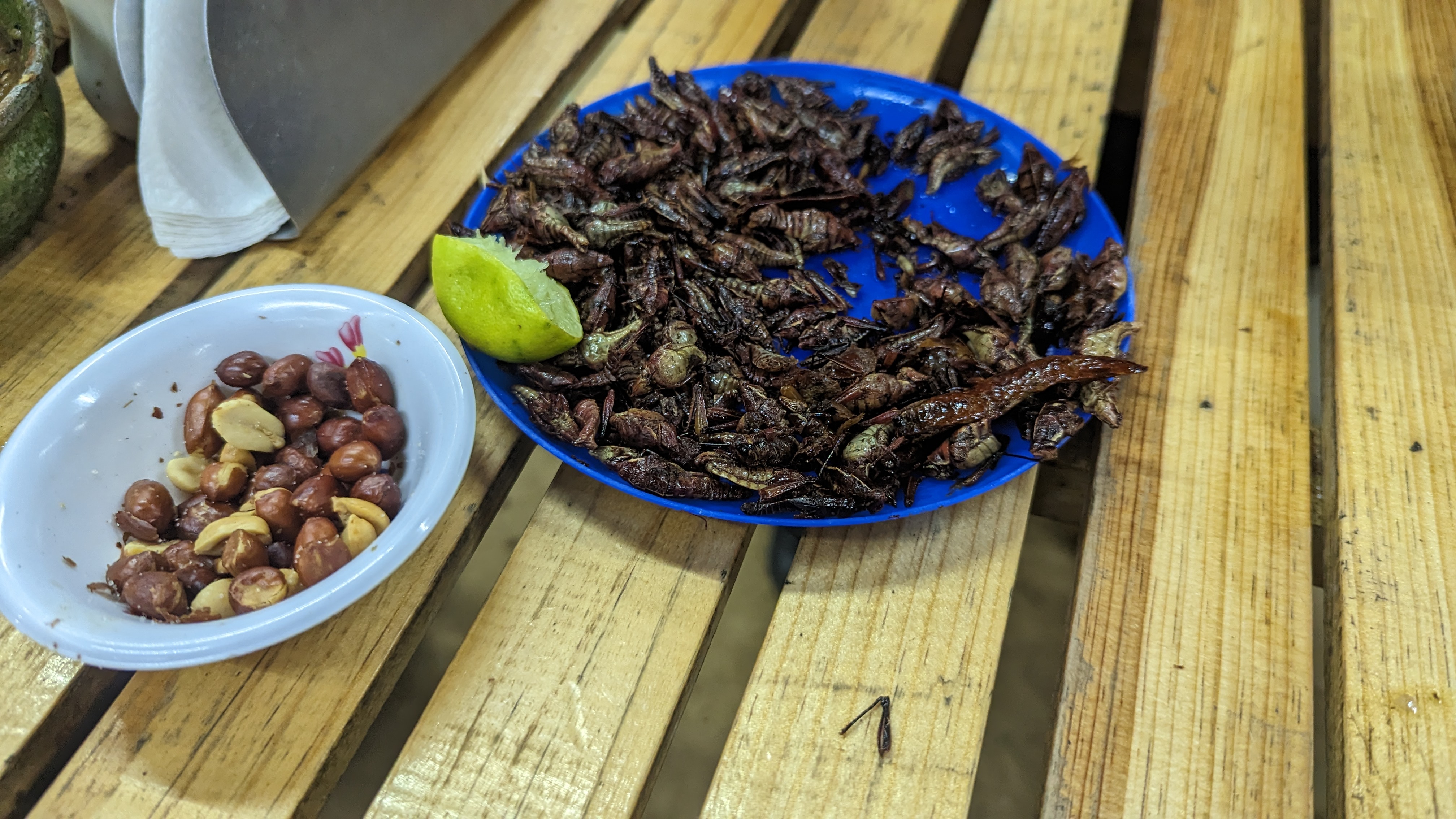 Tlayudas y carnes asadas Oaxaca Antiguo image 10