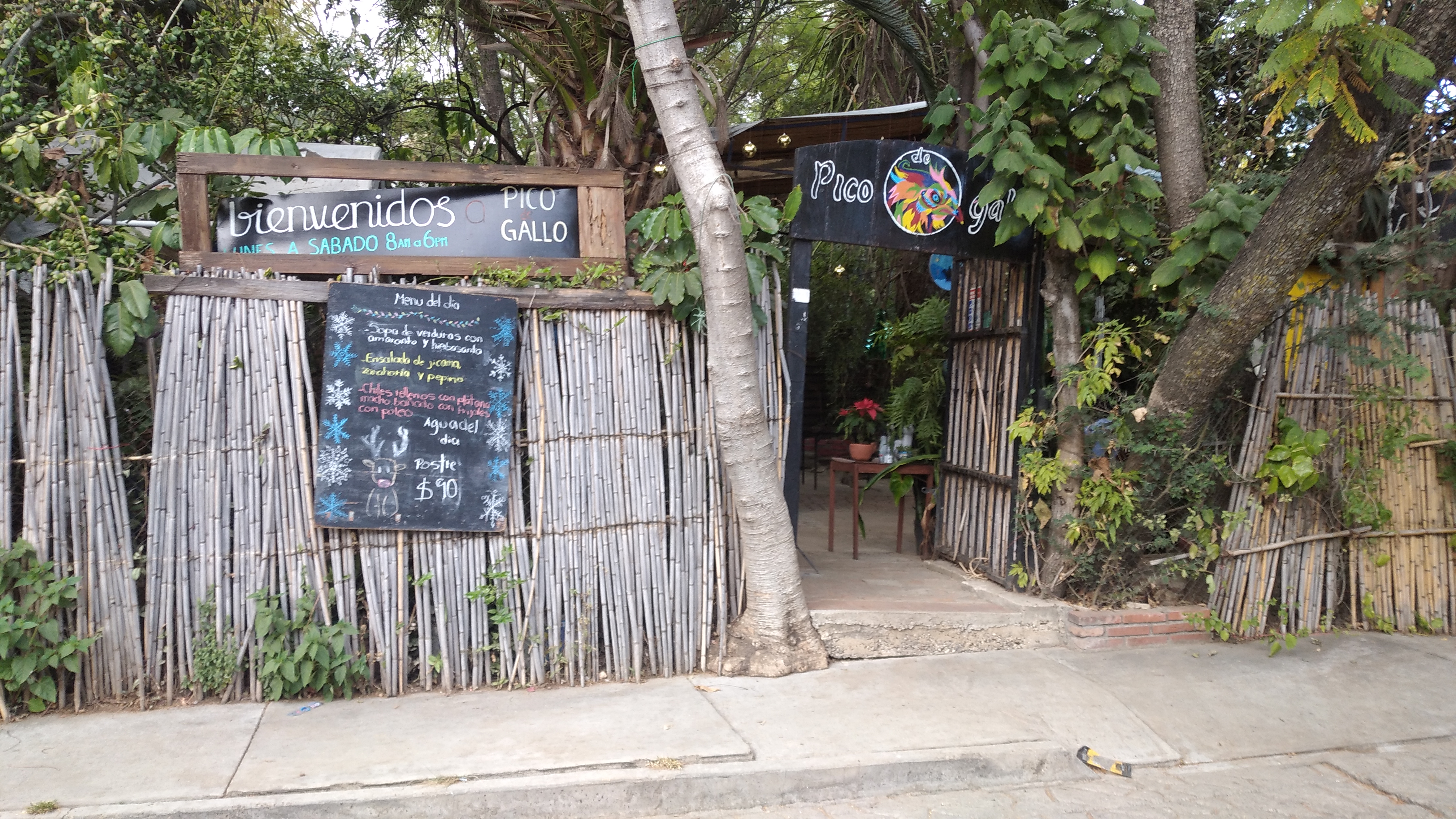 PICO DE GALLO RESTAURANTE image 3