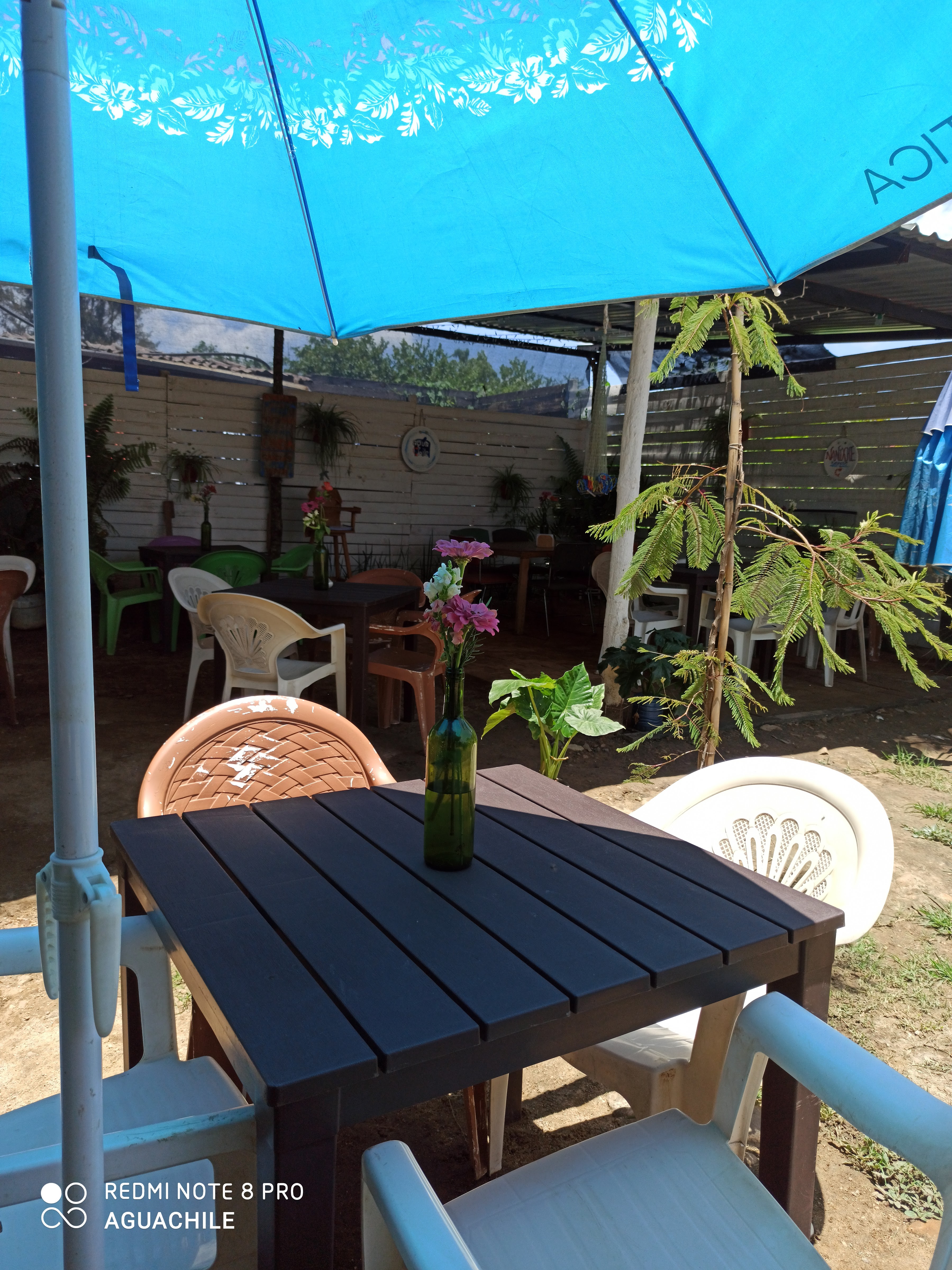 Aguachile restaurante image 1