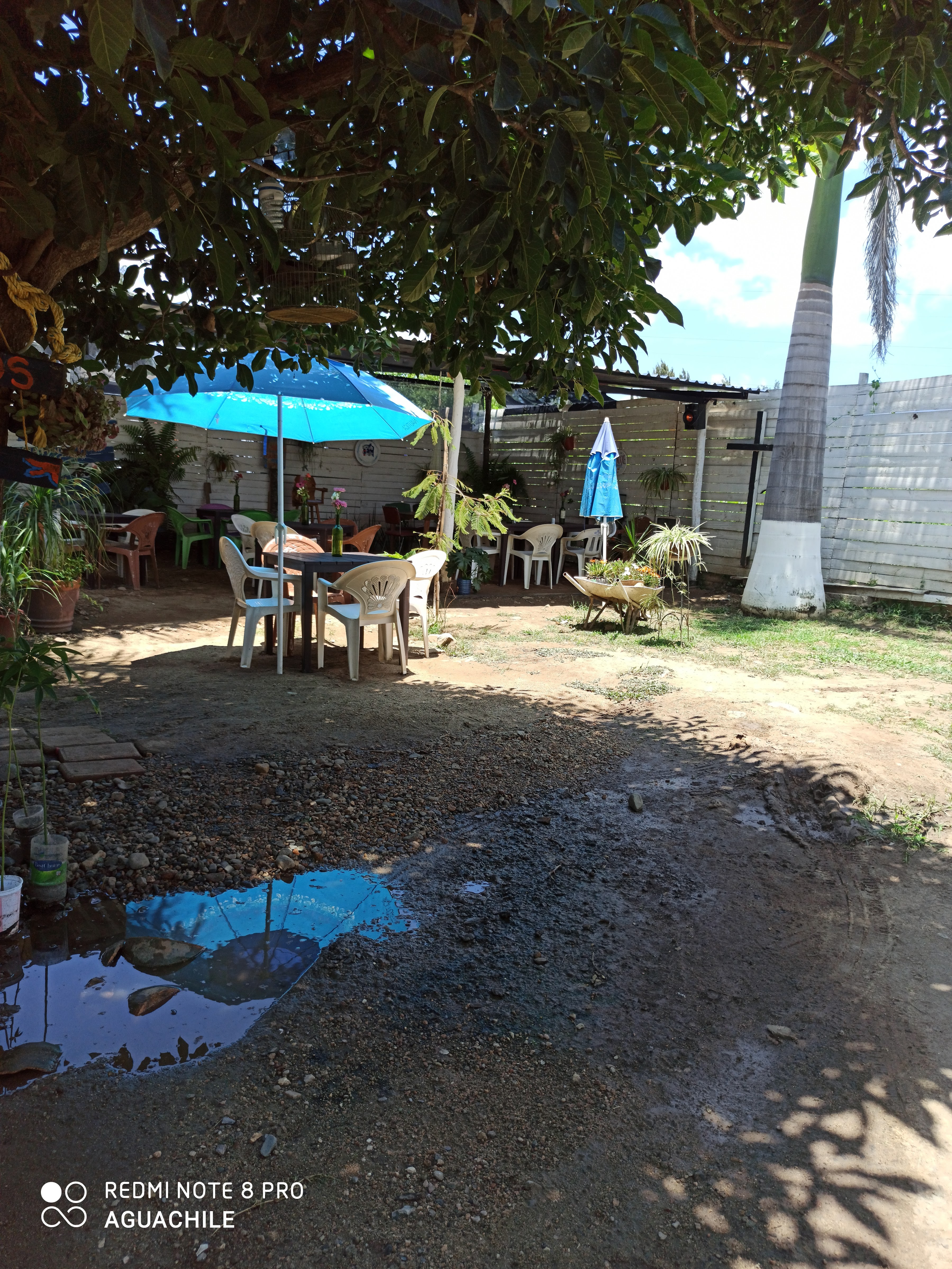 Aguachile restaurante image 4