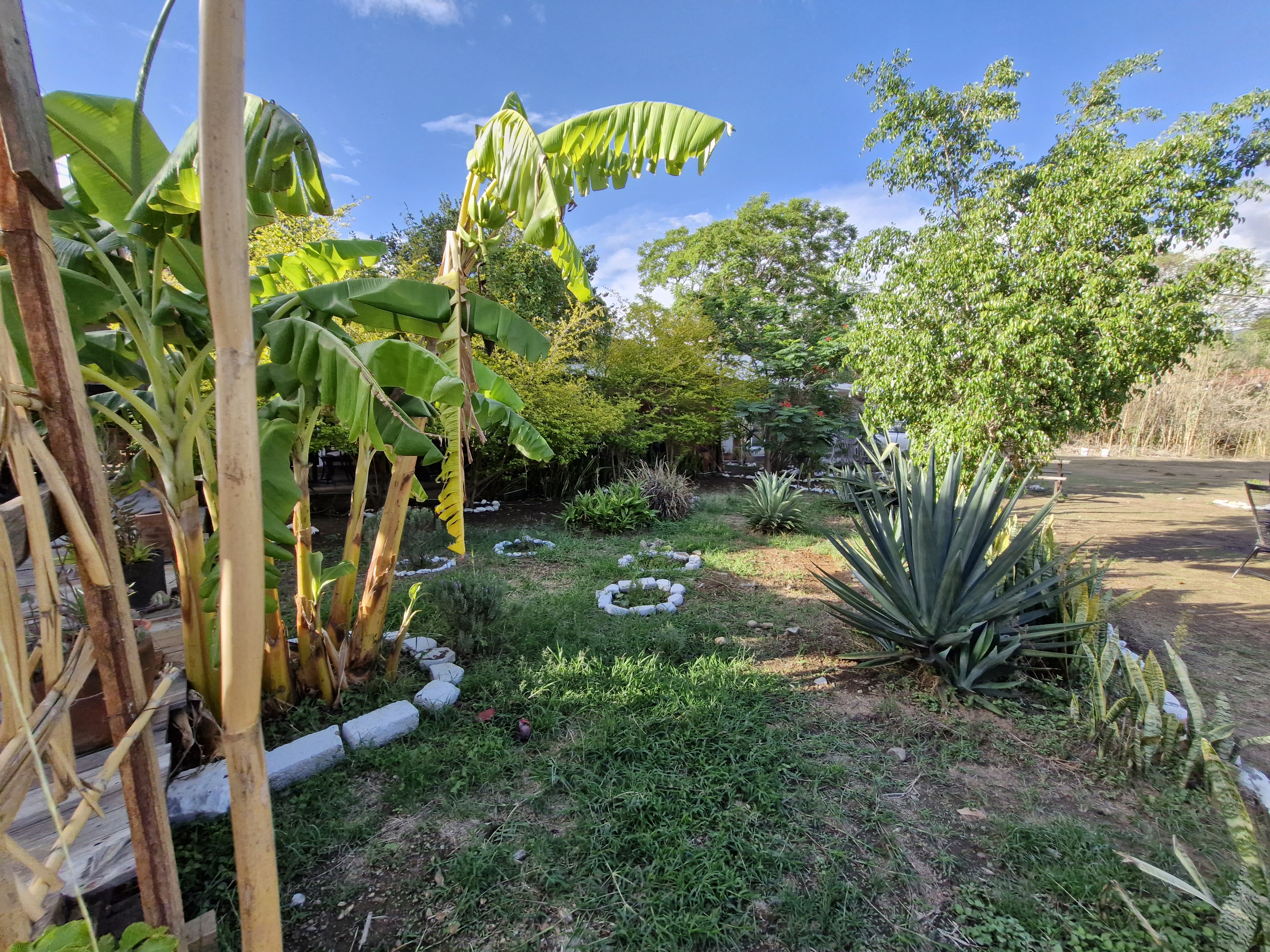 Restaurante Casa de Adobe image 5