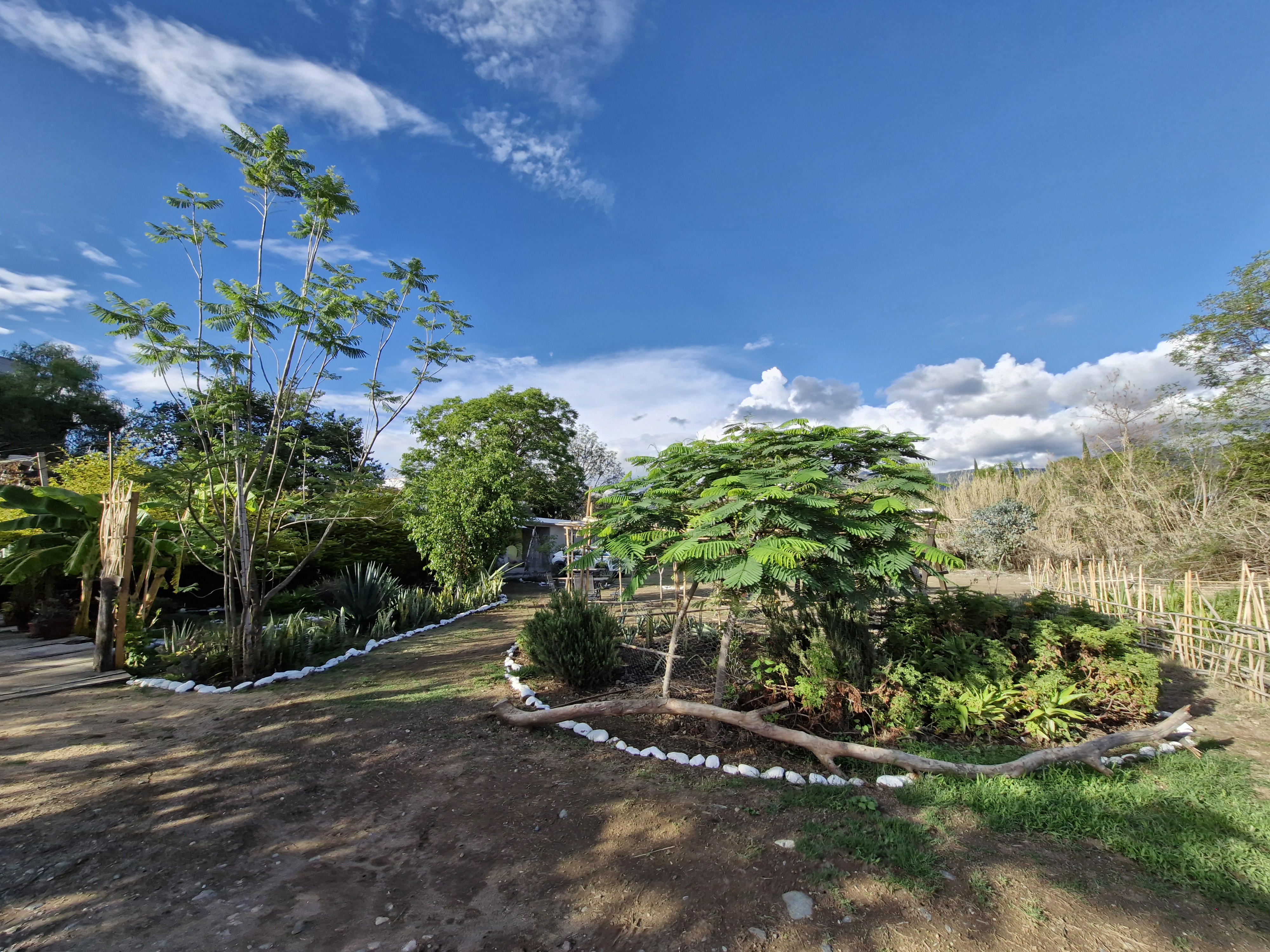 Restaurante Casa de Adobe image 7