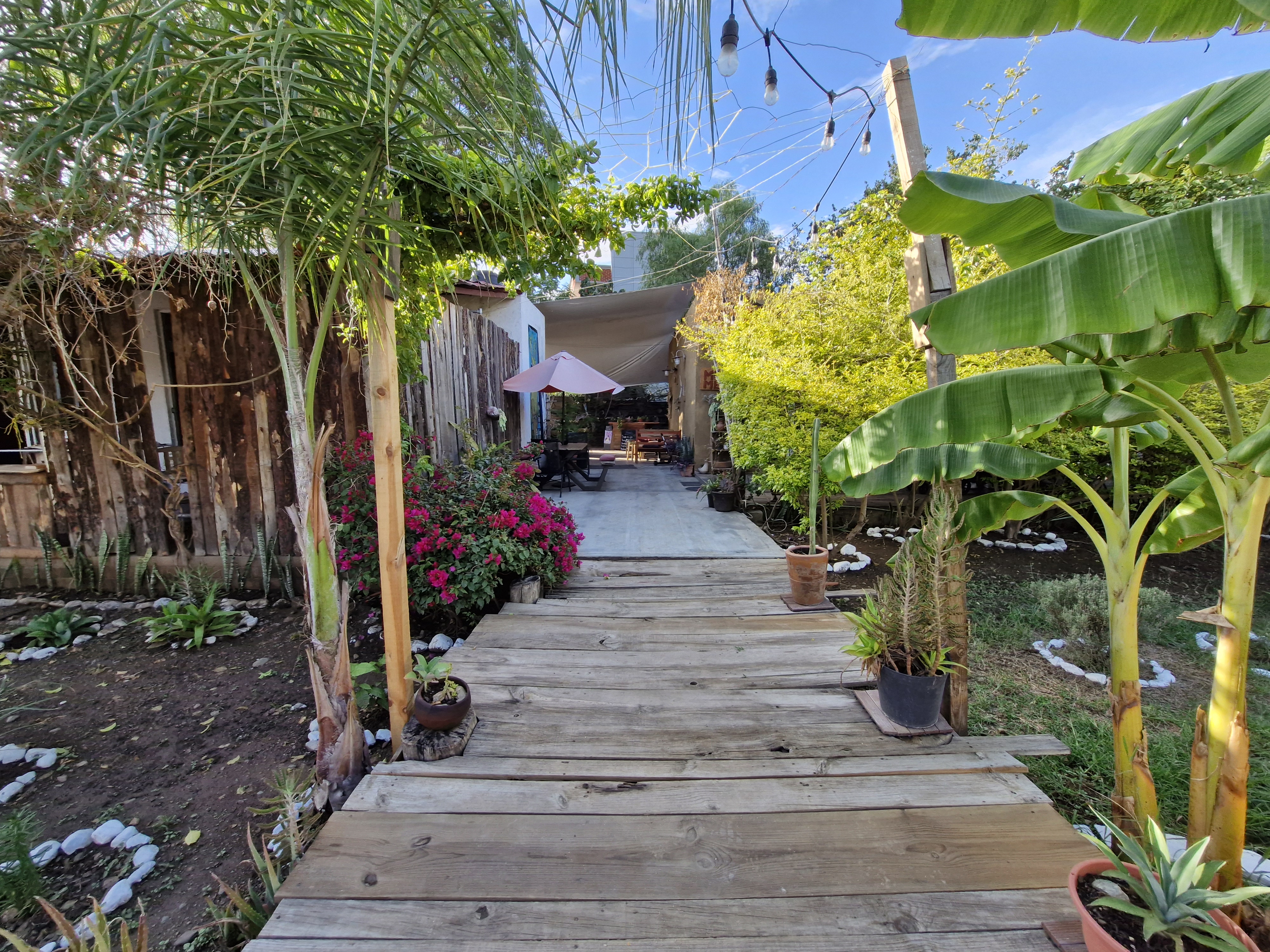 Restaurante Casa de Adobe image 9